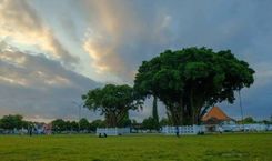 Alun-Alun Kidul Jogja, Ikon Wisata di Kota Gudeg