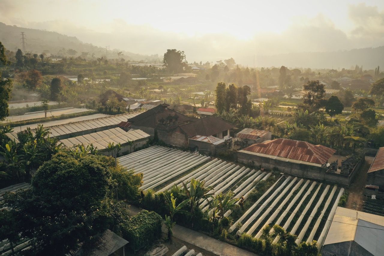 villa di buleleng dijual.jpeg