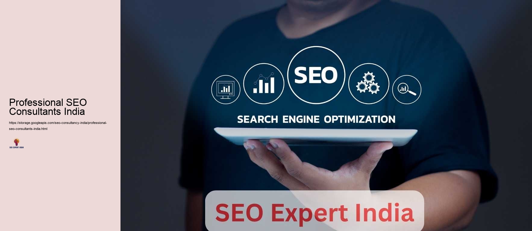 Professional SEO Consultants India