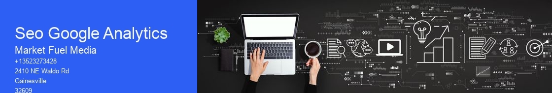 Seo Google Analytics
