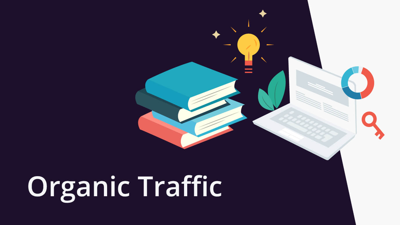 How to check organic traffic on any website?