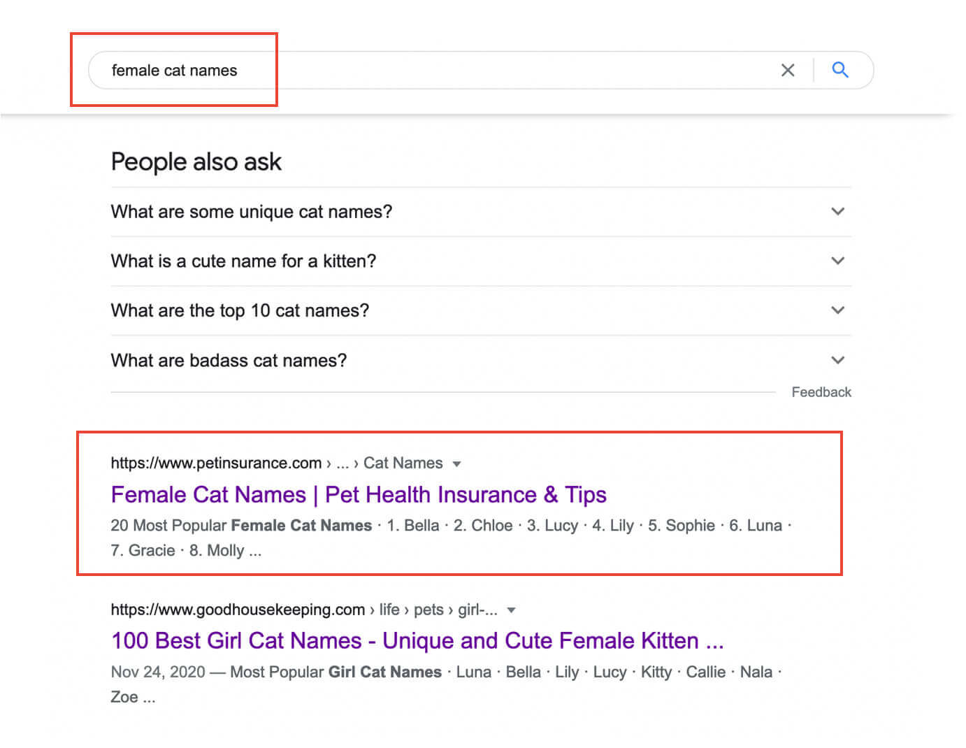 Search results for female cat names used as an example of digital content marketing