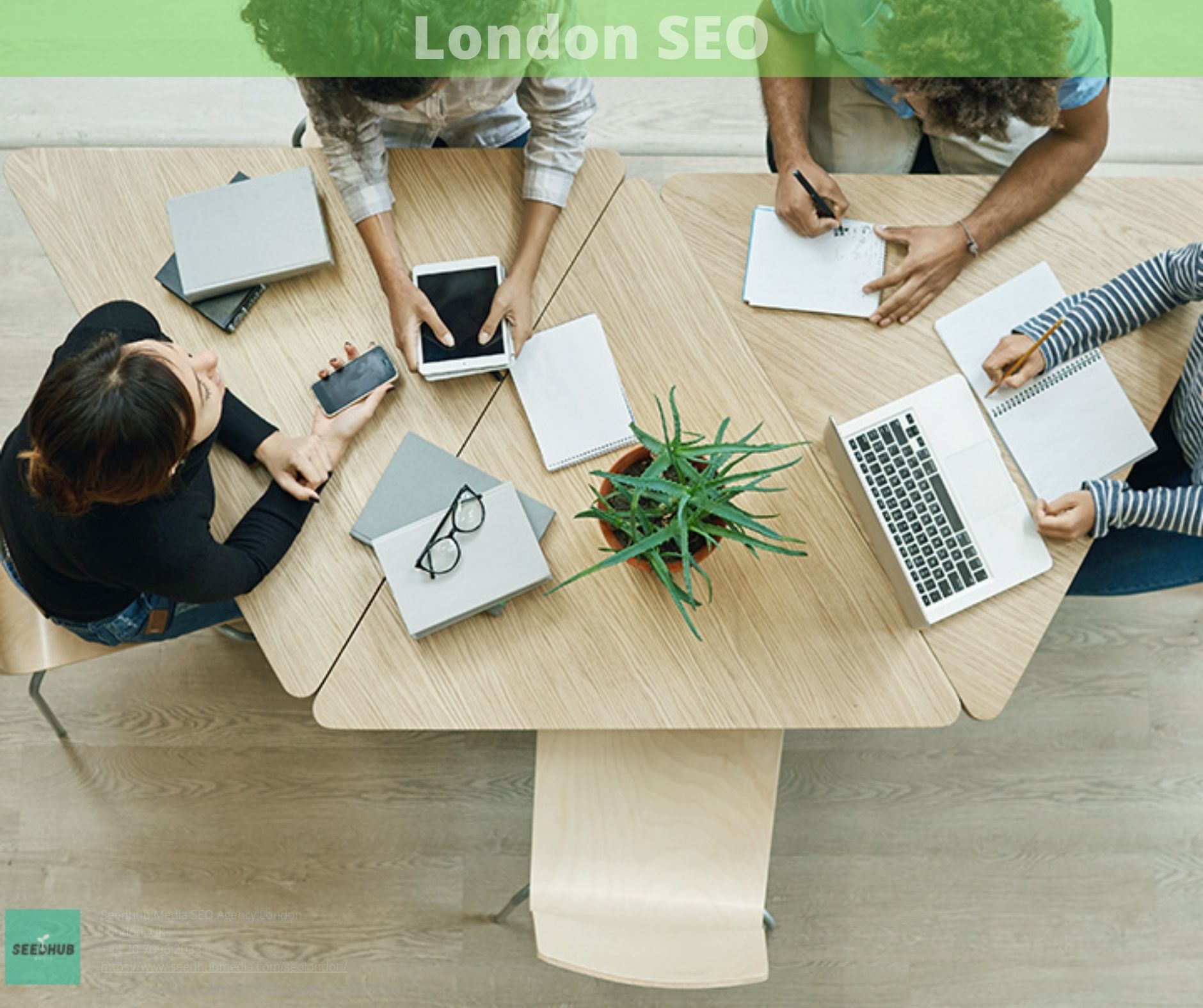 White Label SEO Service