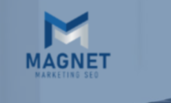   seo marketing	 