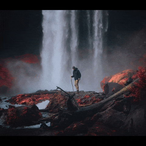 SuperRare | Premier Digital Art Gallery & Auction House