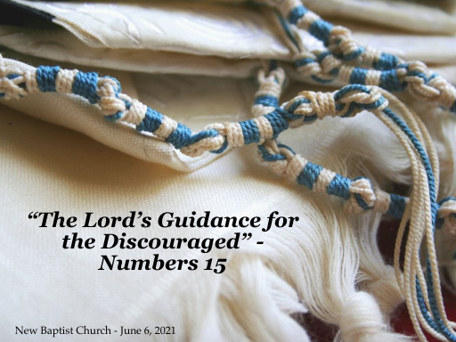 The Lord's Guidance for the Discouraged