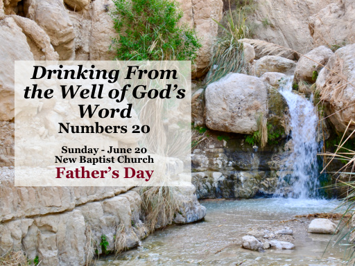 Drinking From the Well of God's Word