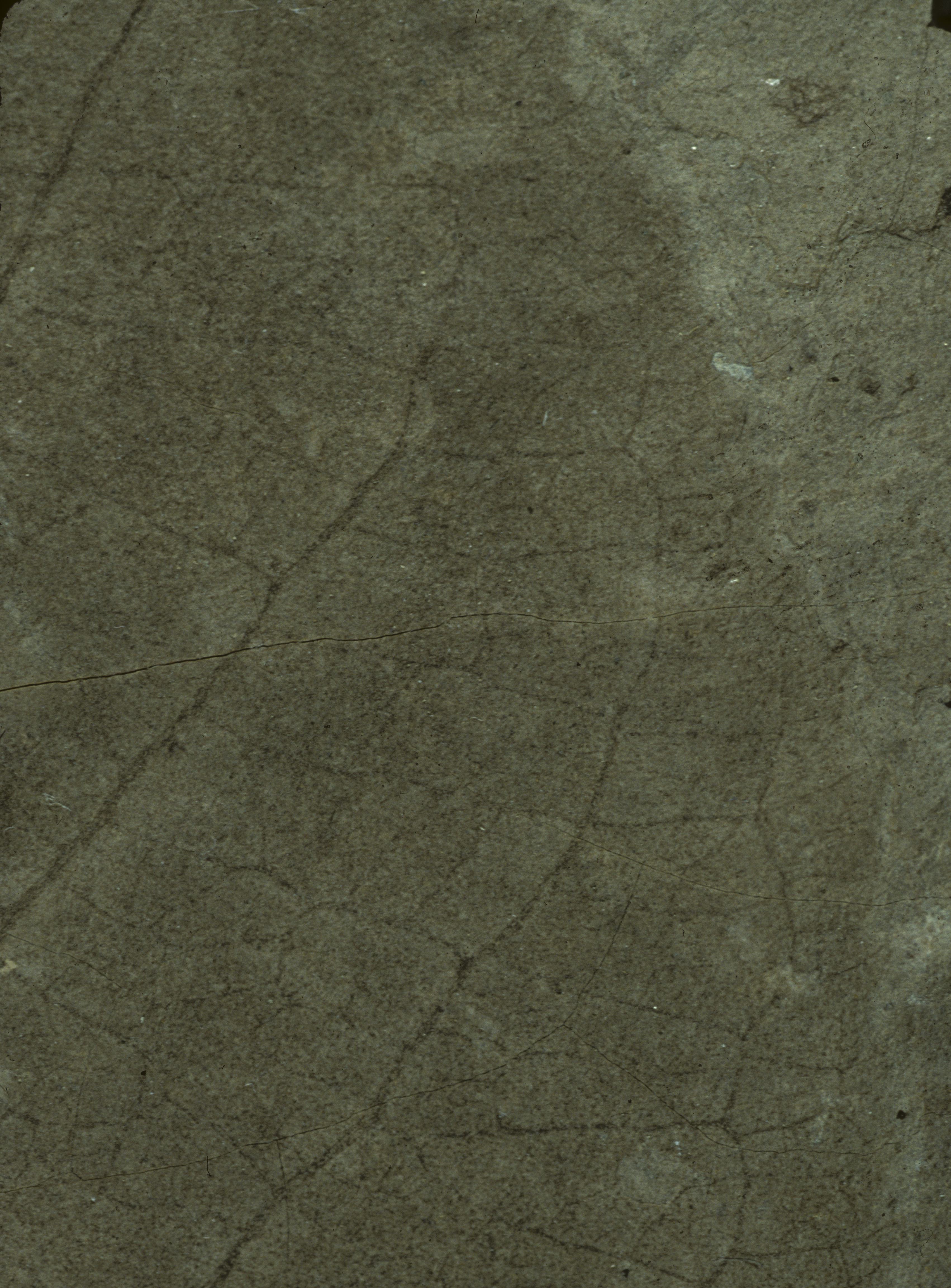 Sample 1 Image