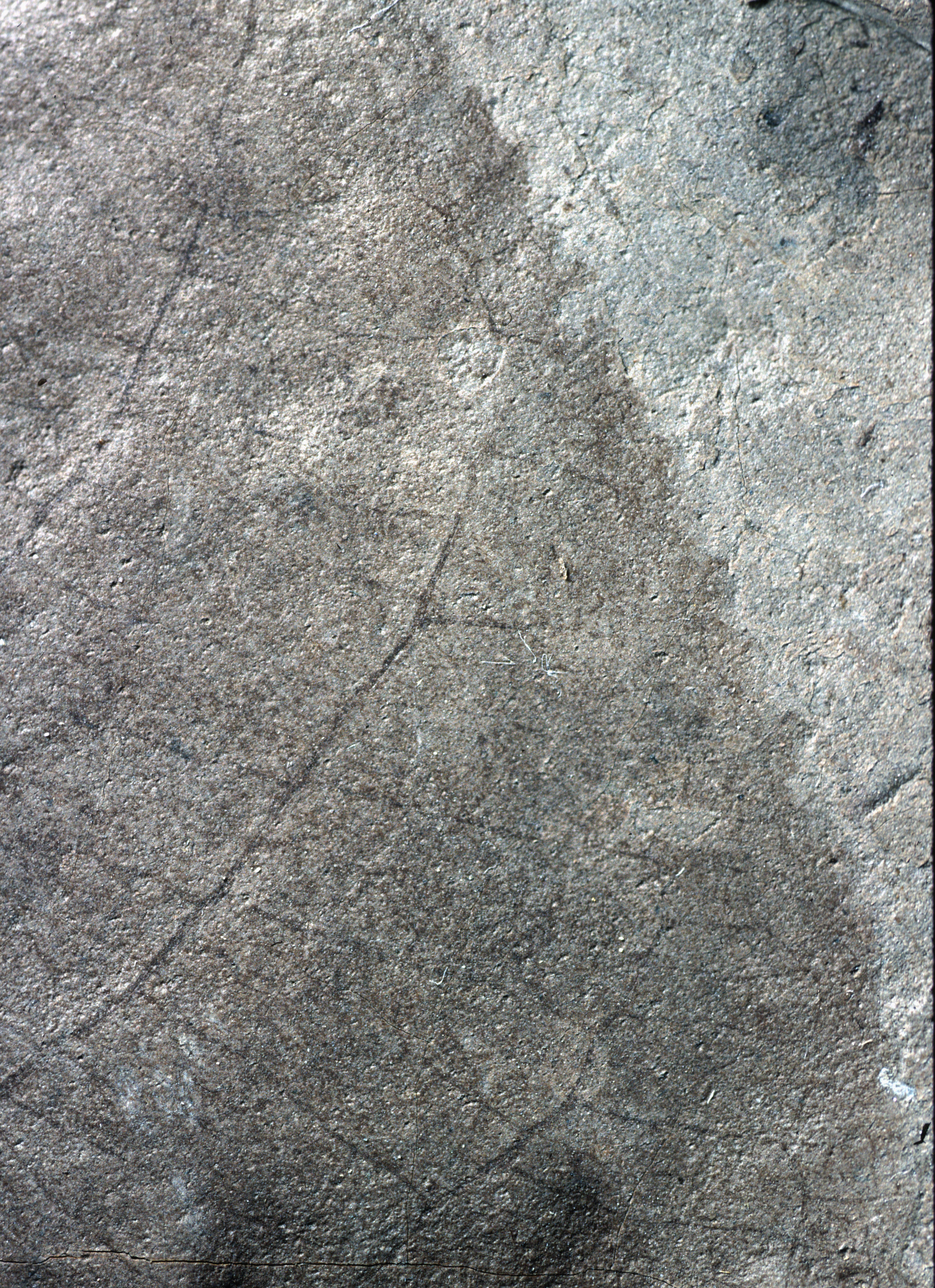 Sample 1 Image