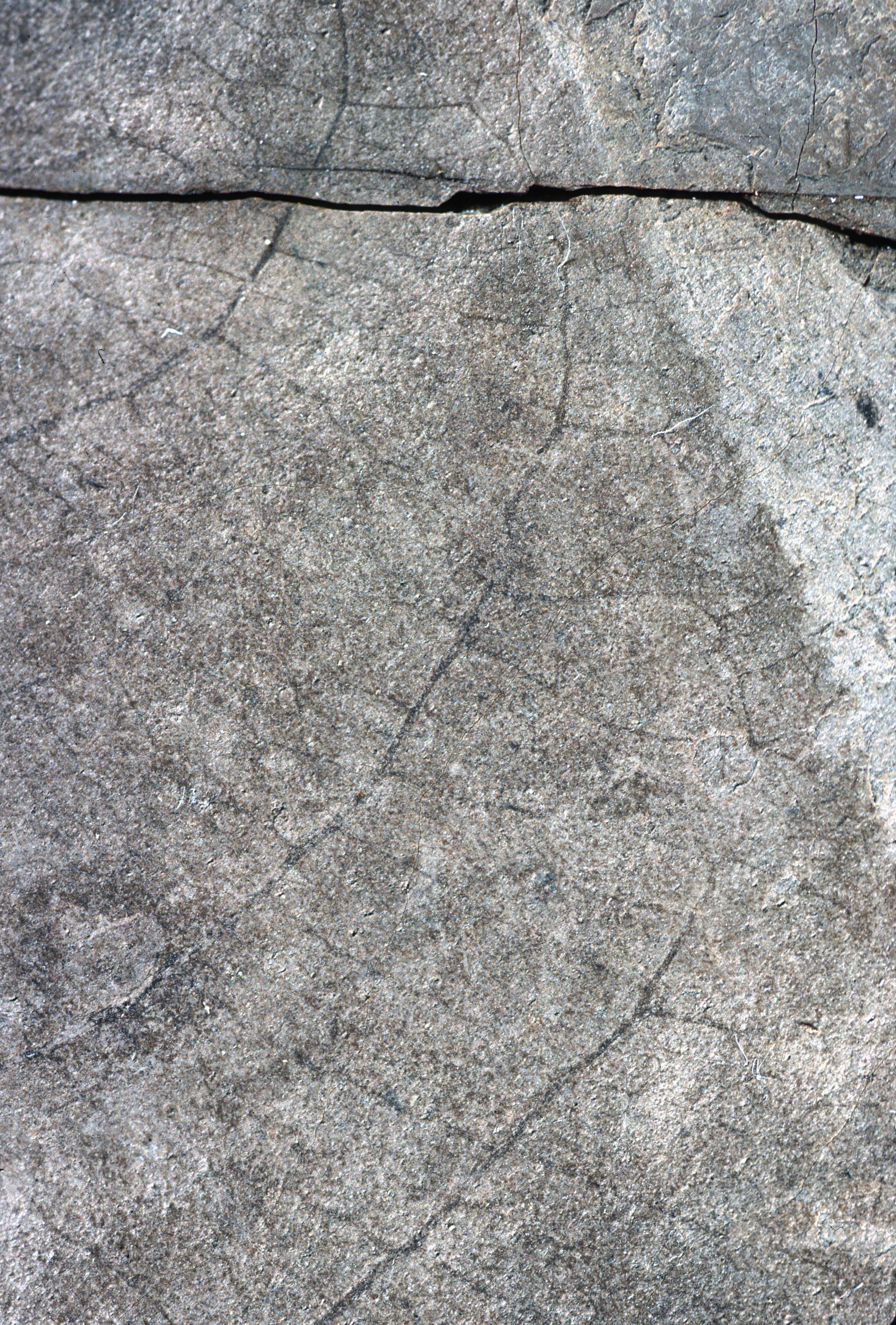Sample 1 Image
