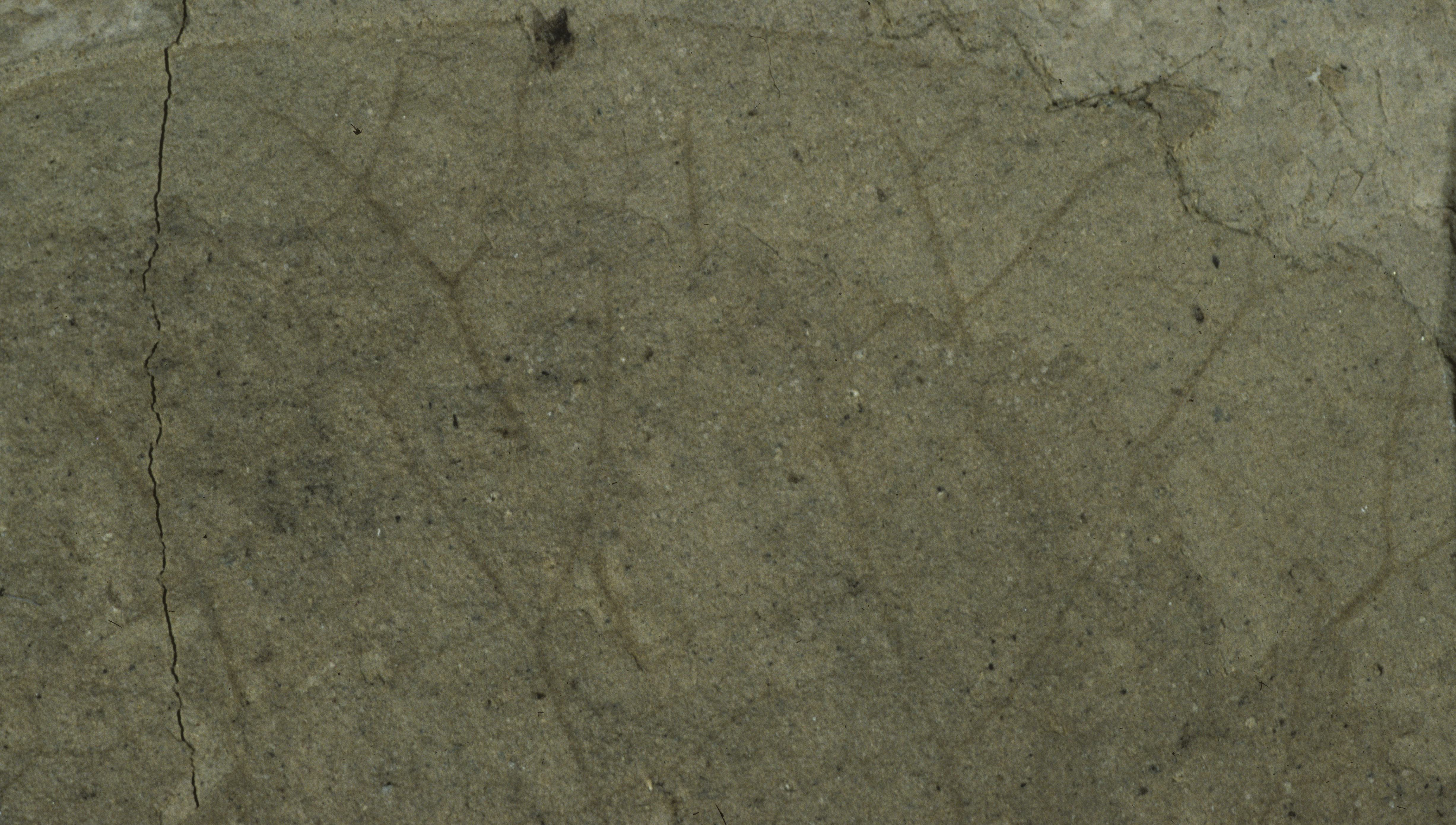 Sample 1 Image