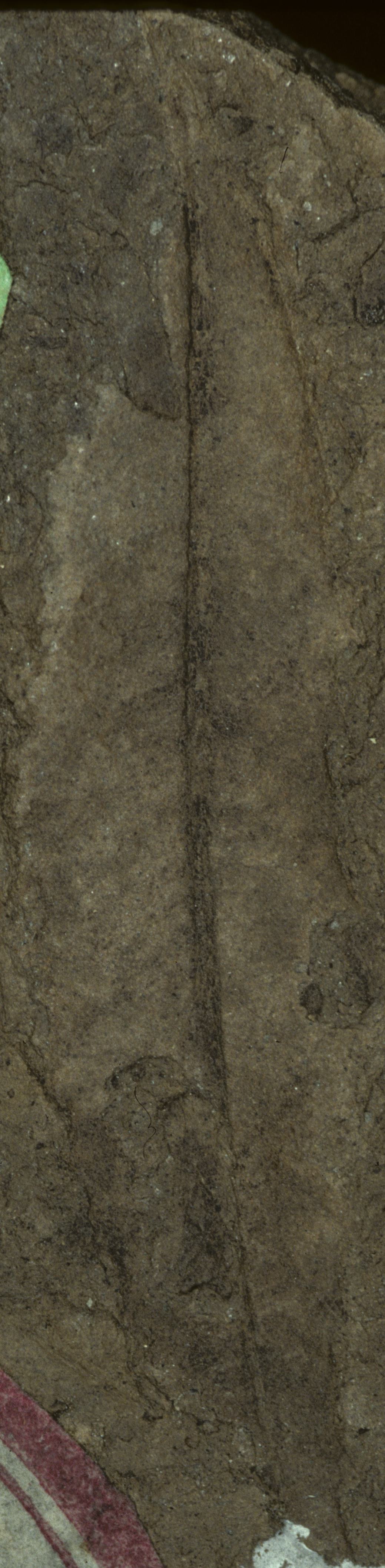 Sample 1 Image