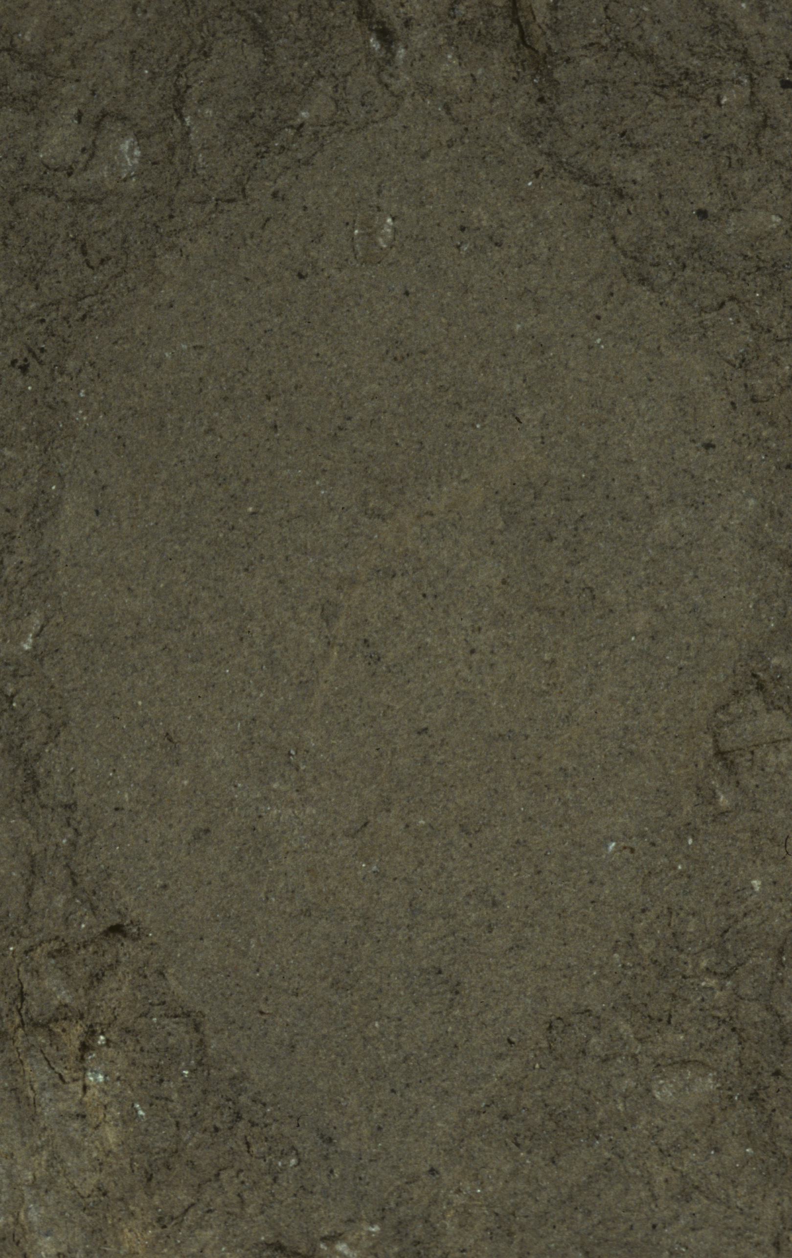 Sample 1 Image