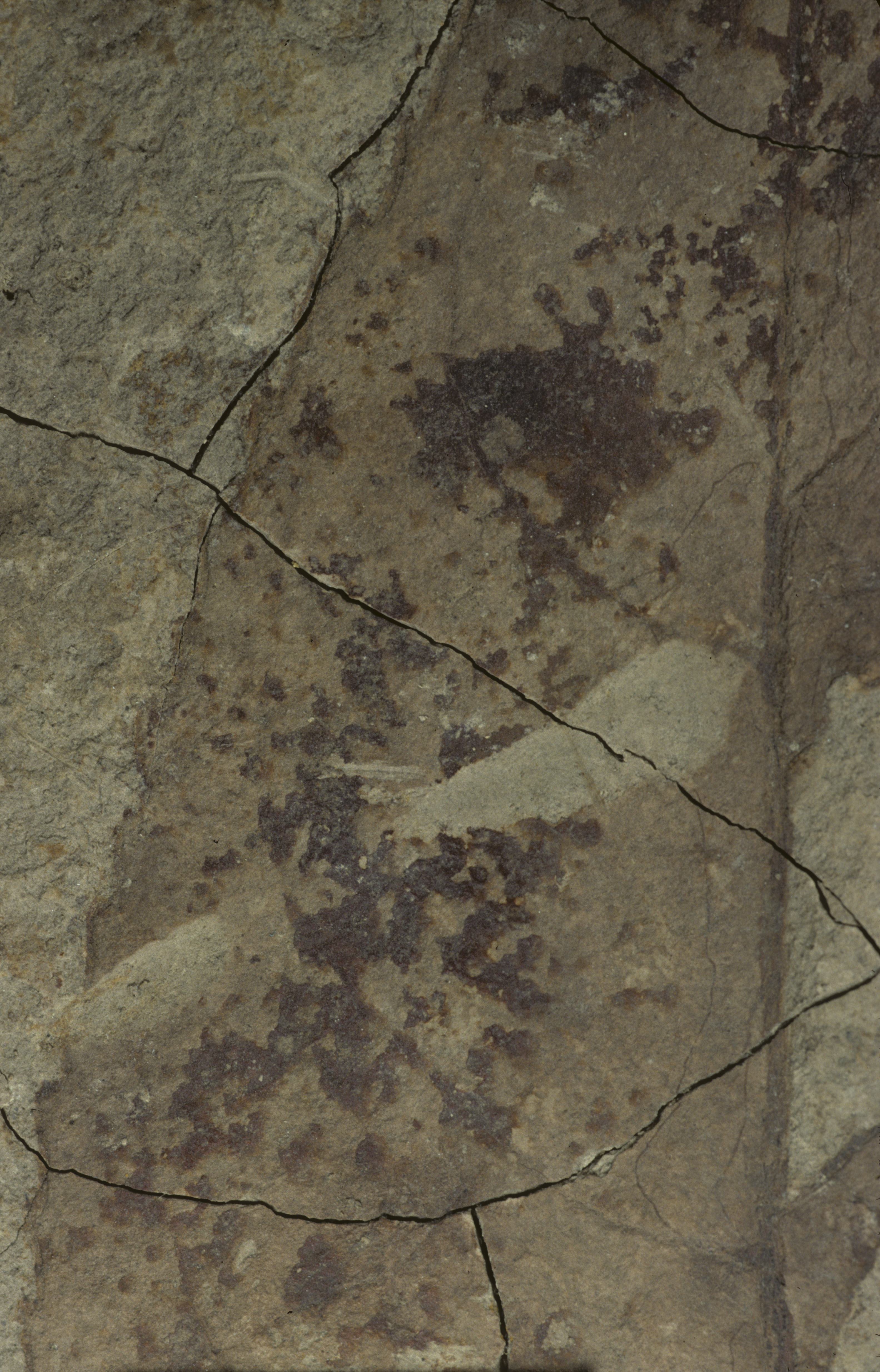 Sample 1 Image