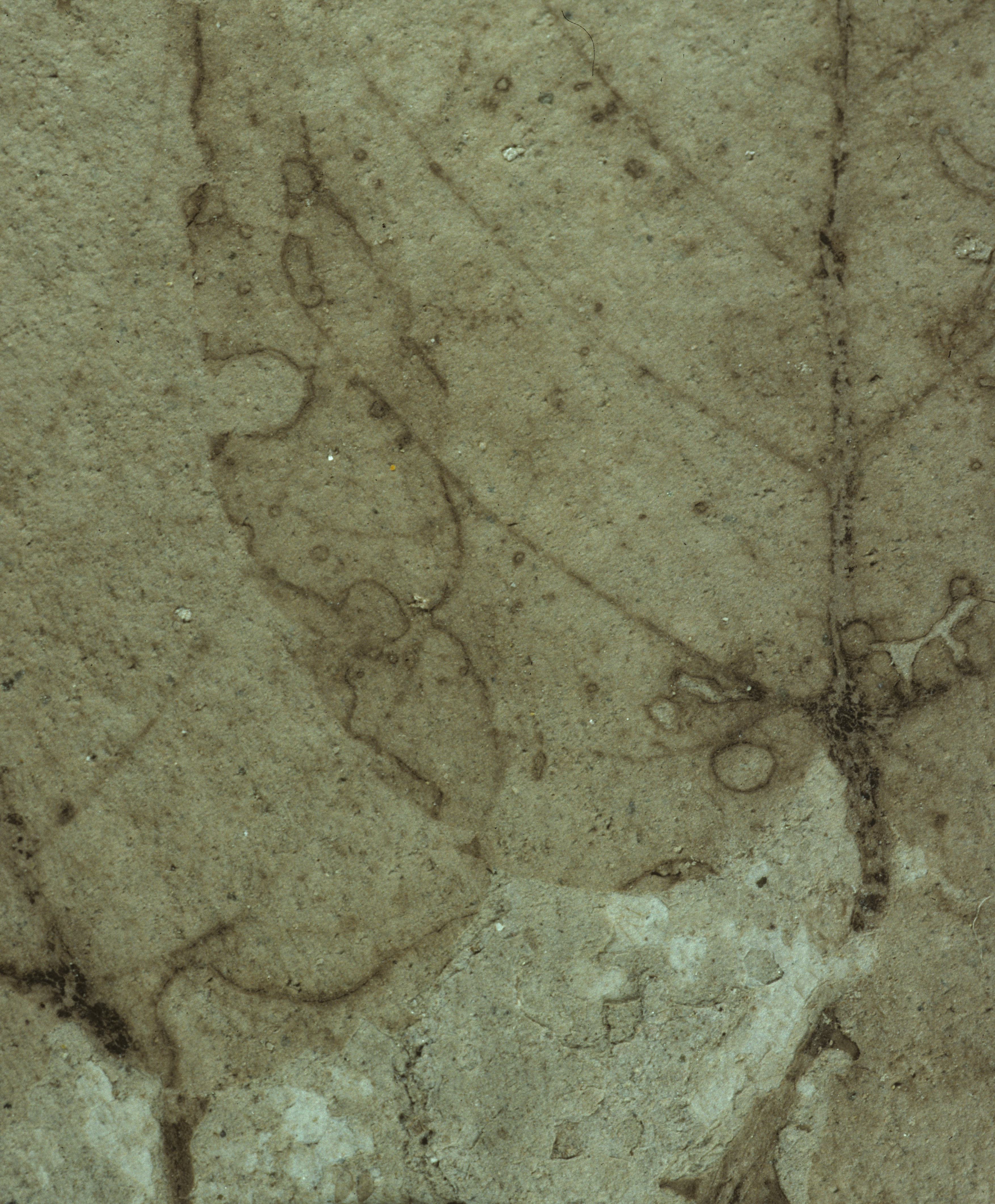 Sample 1 Image