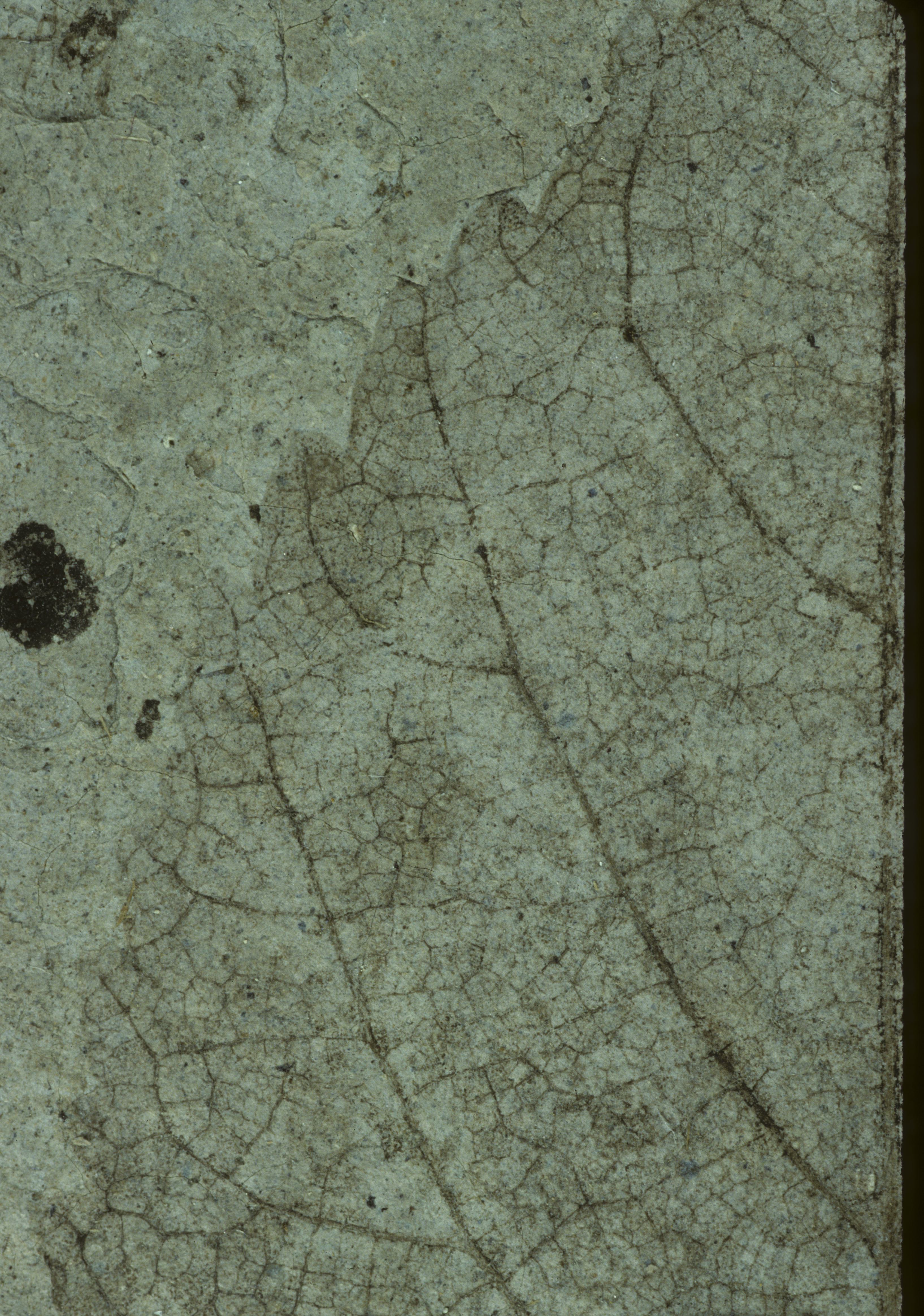 Sample 1 Image