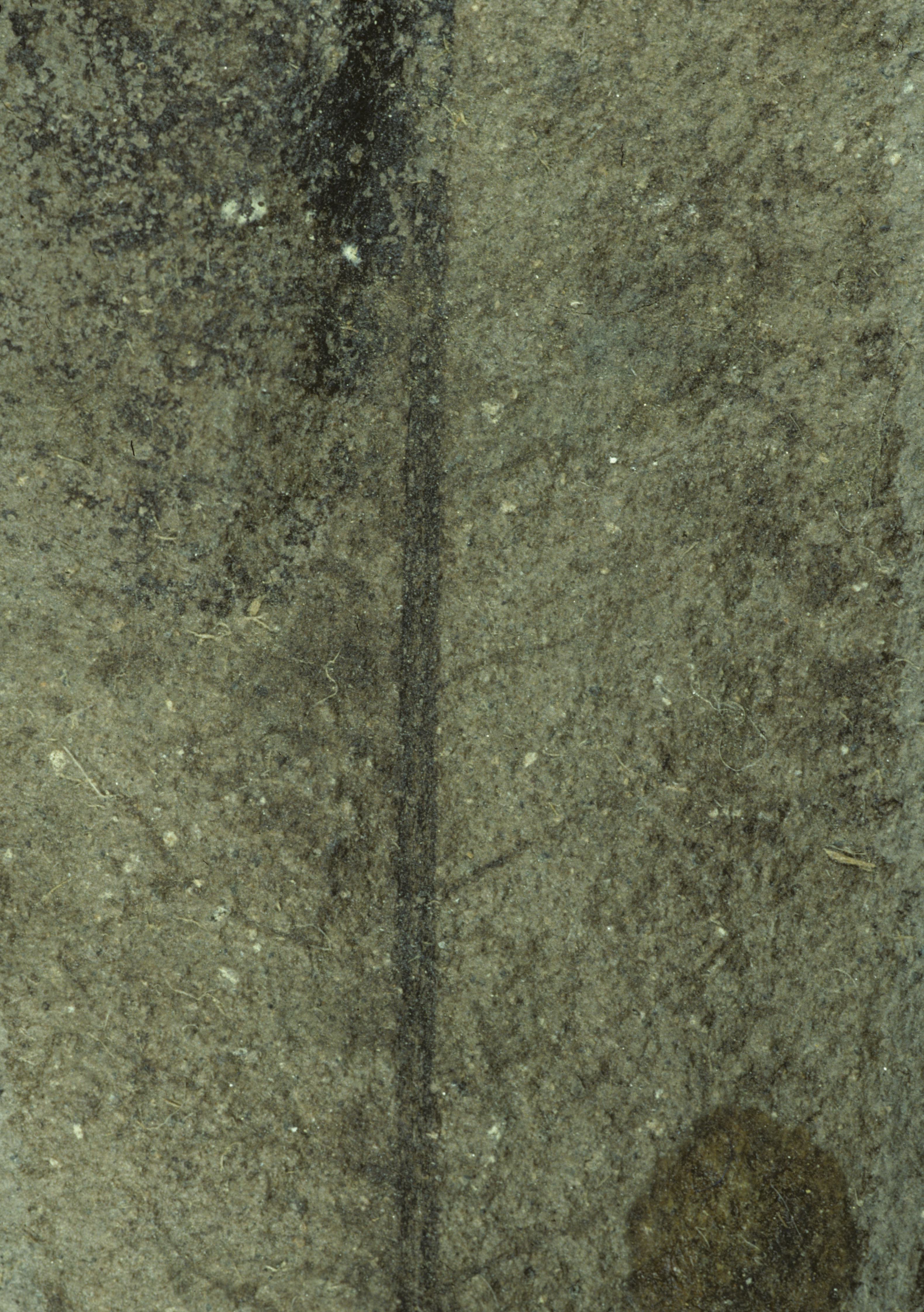 Sample 1 Image