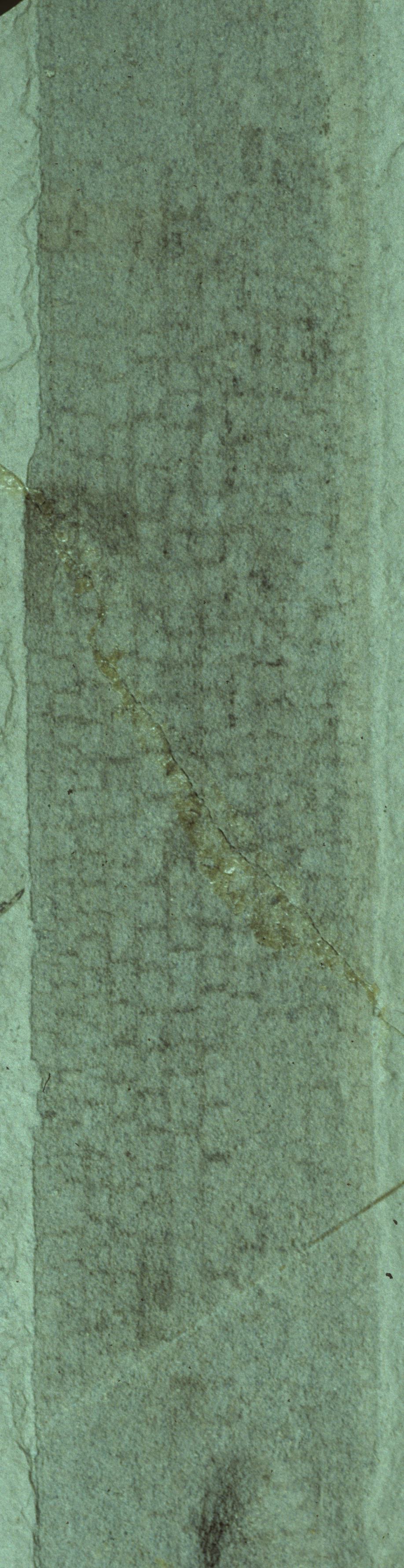 Sample 1 Image
