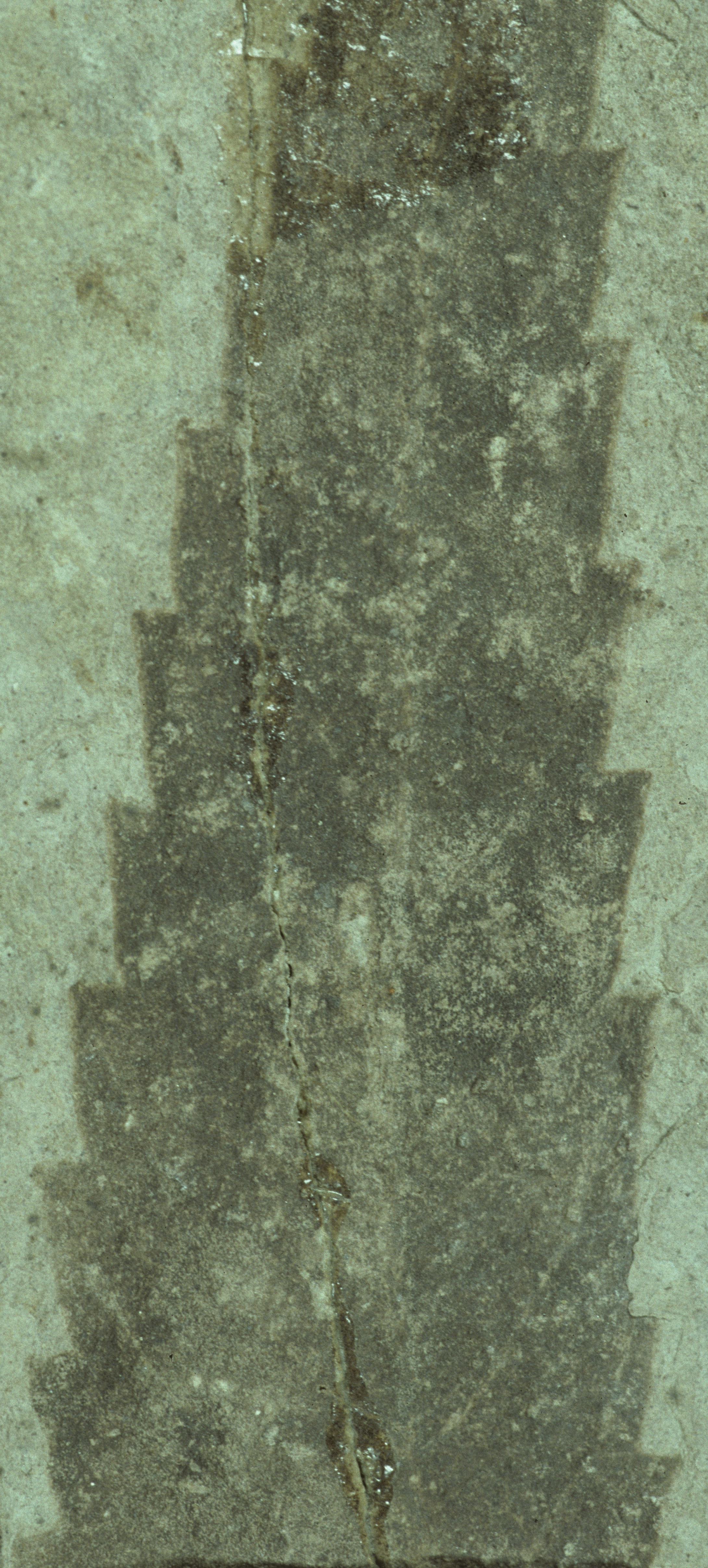 Sample 1 Image