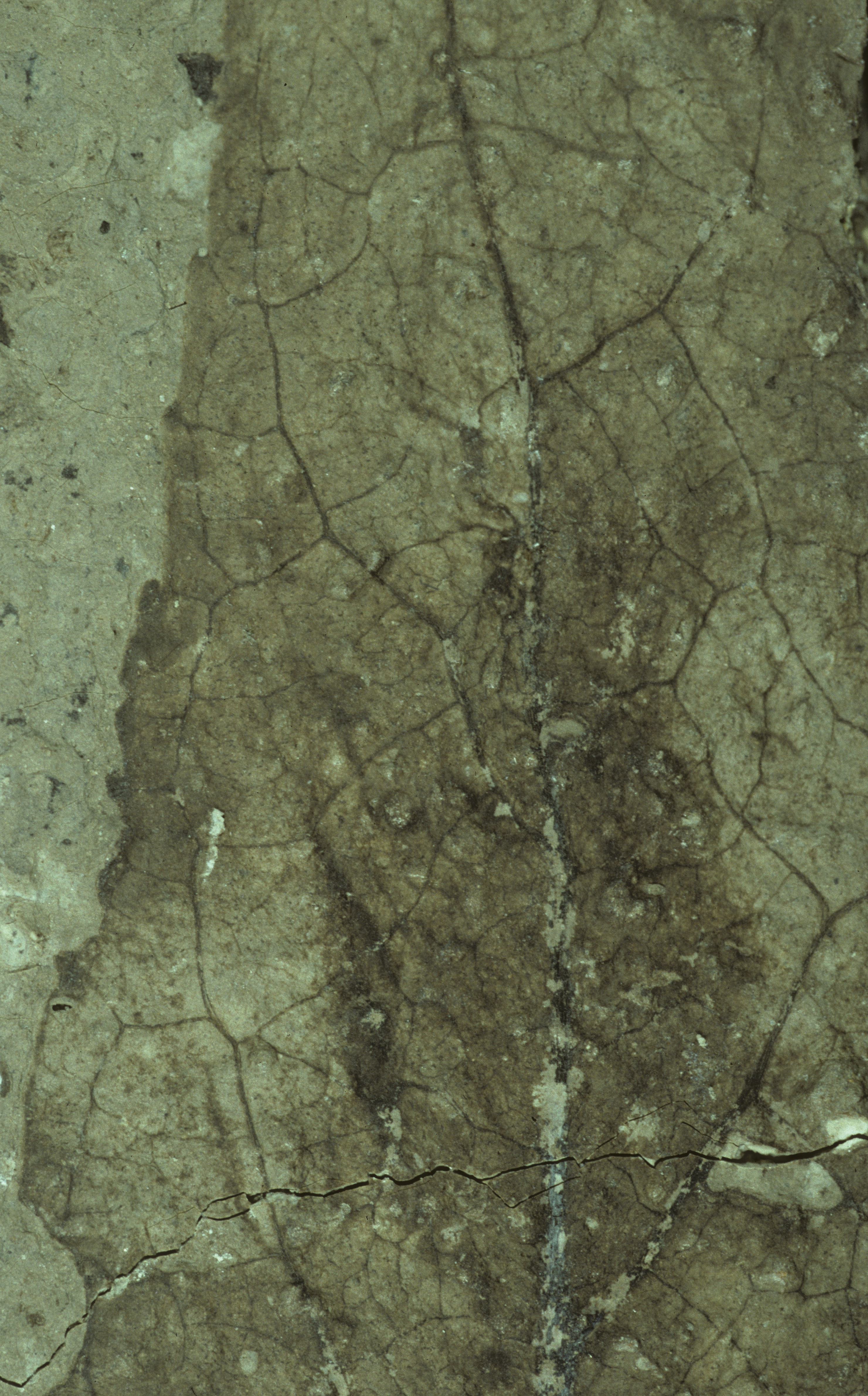 Sample 1 Image
