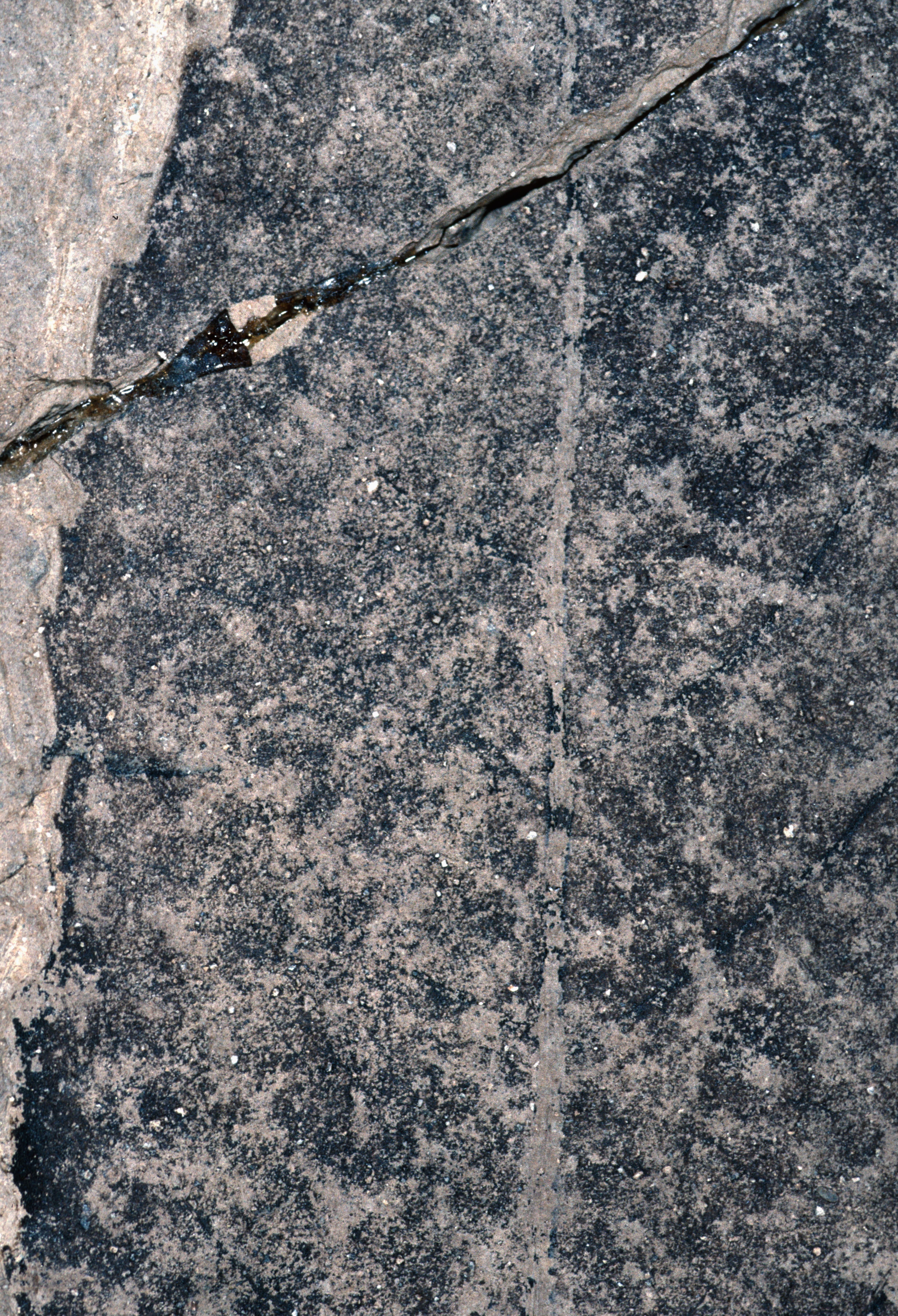 Sample 1 Image