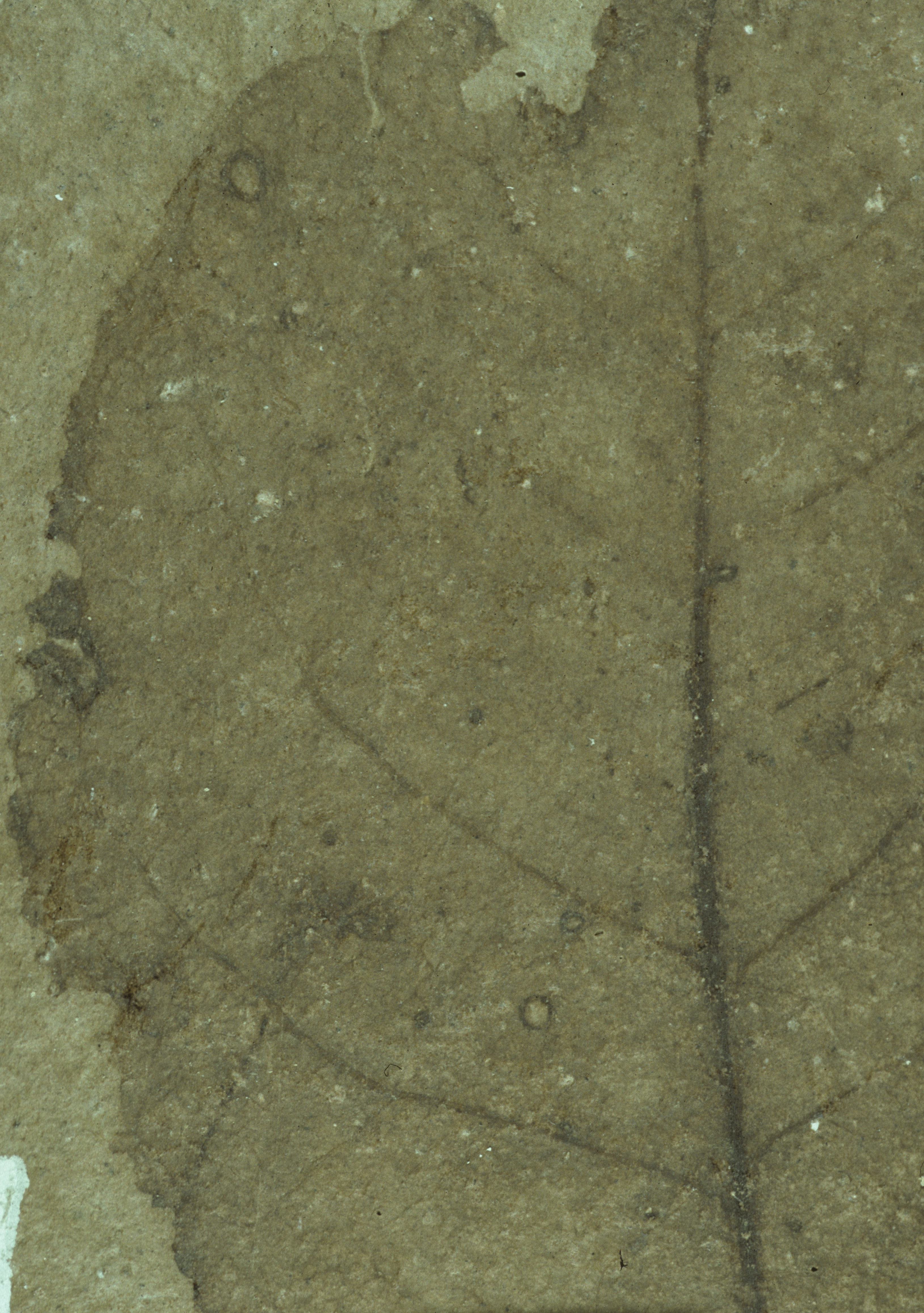 Sample 1 Image