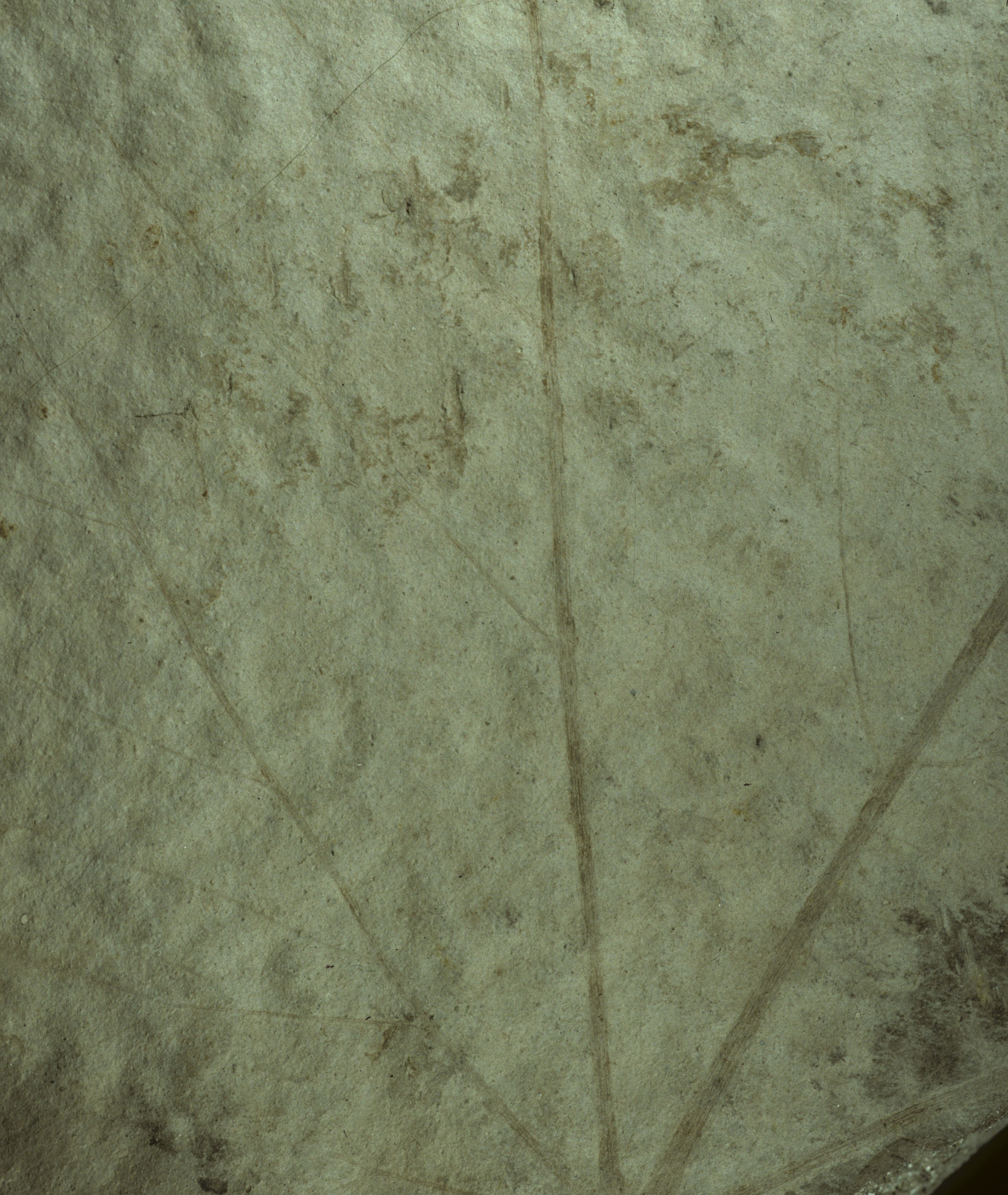 Sample 1 Image