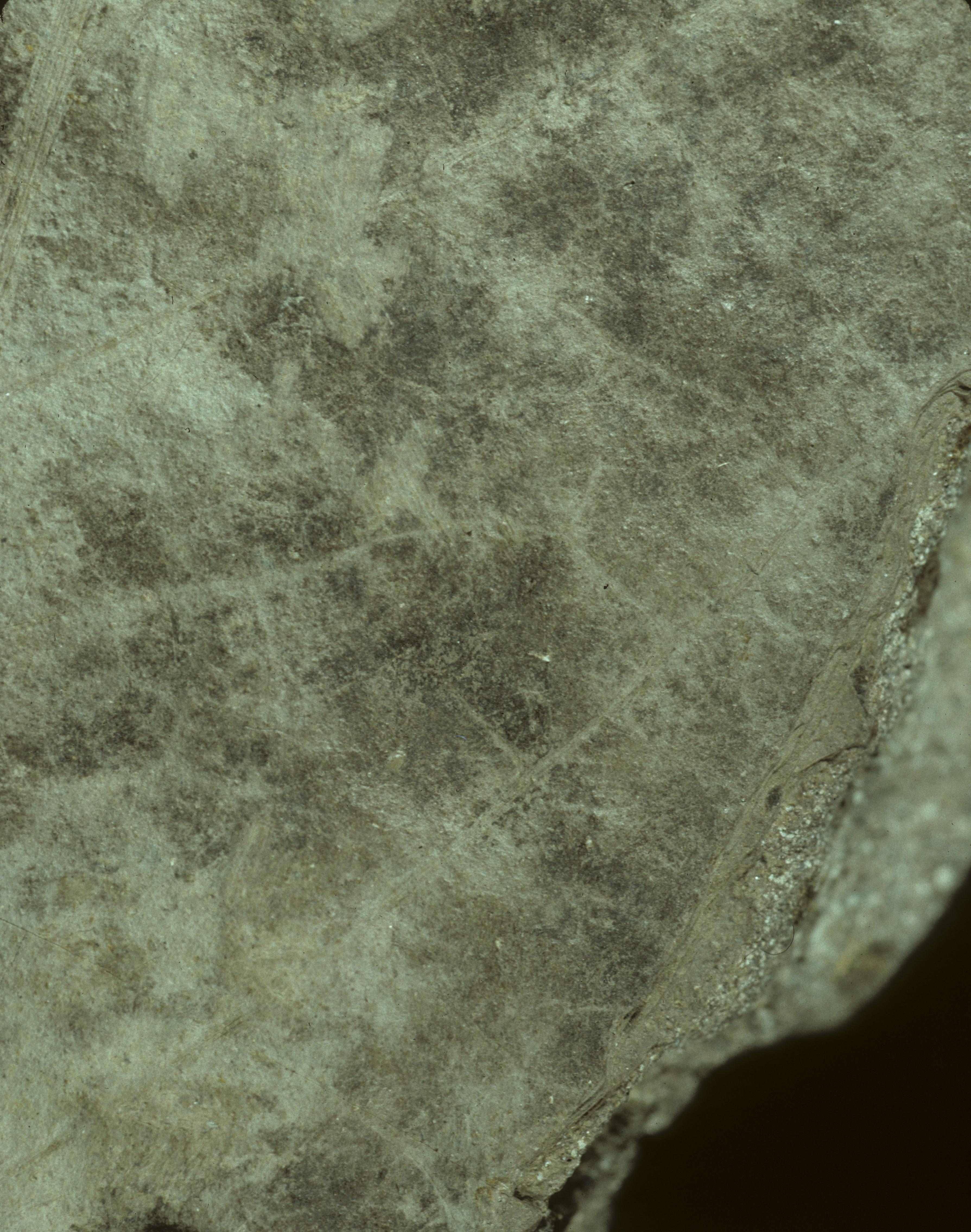 Sample 1 Image