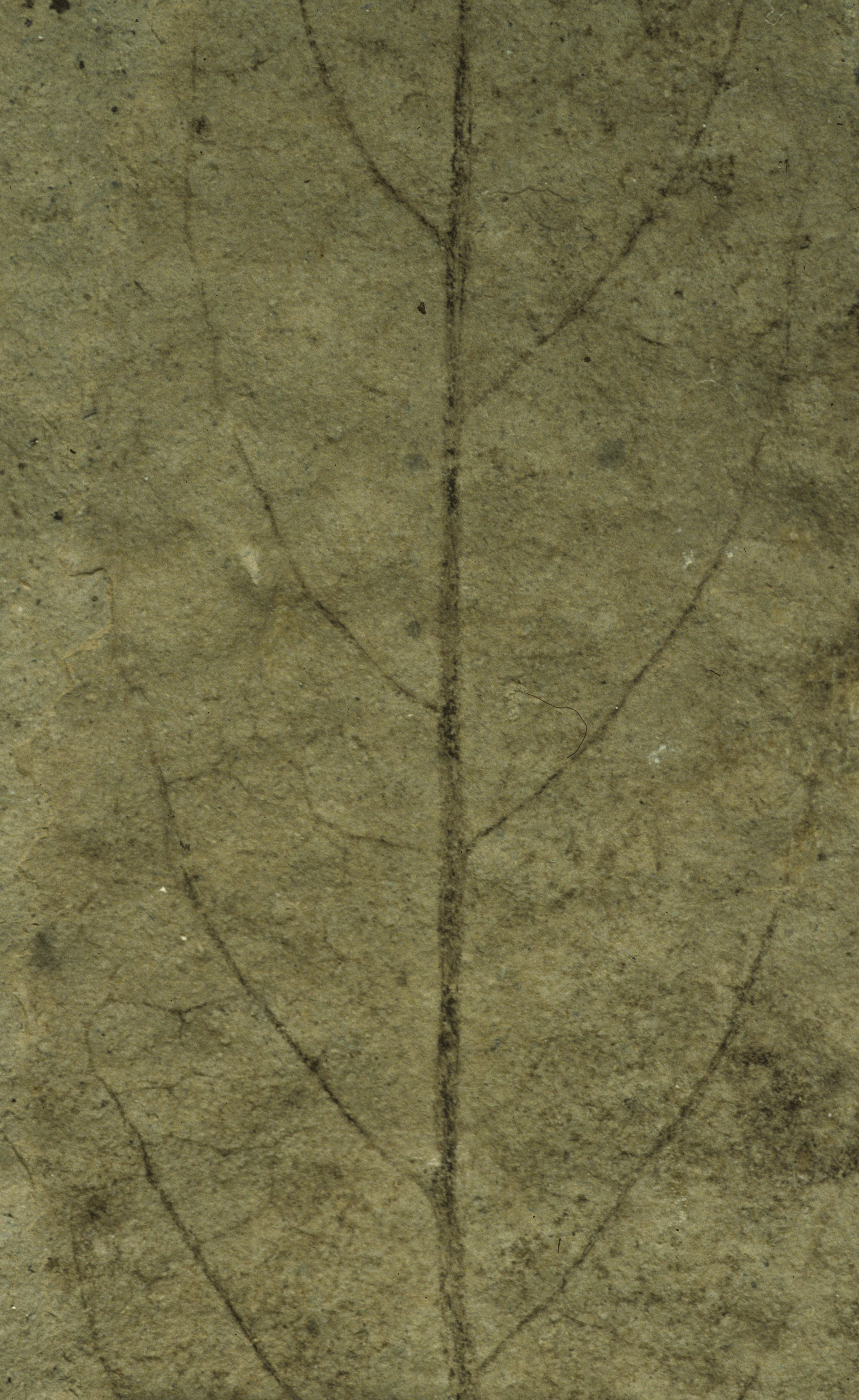 Sample 1 Image