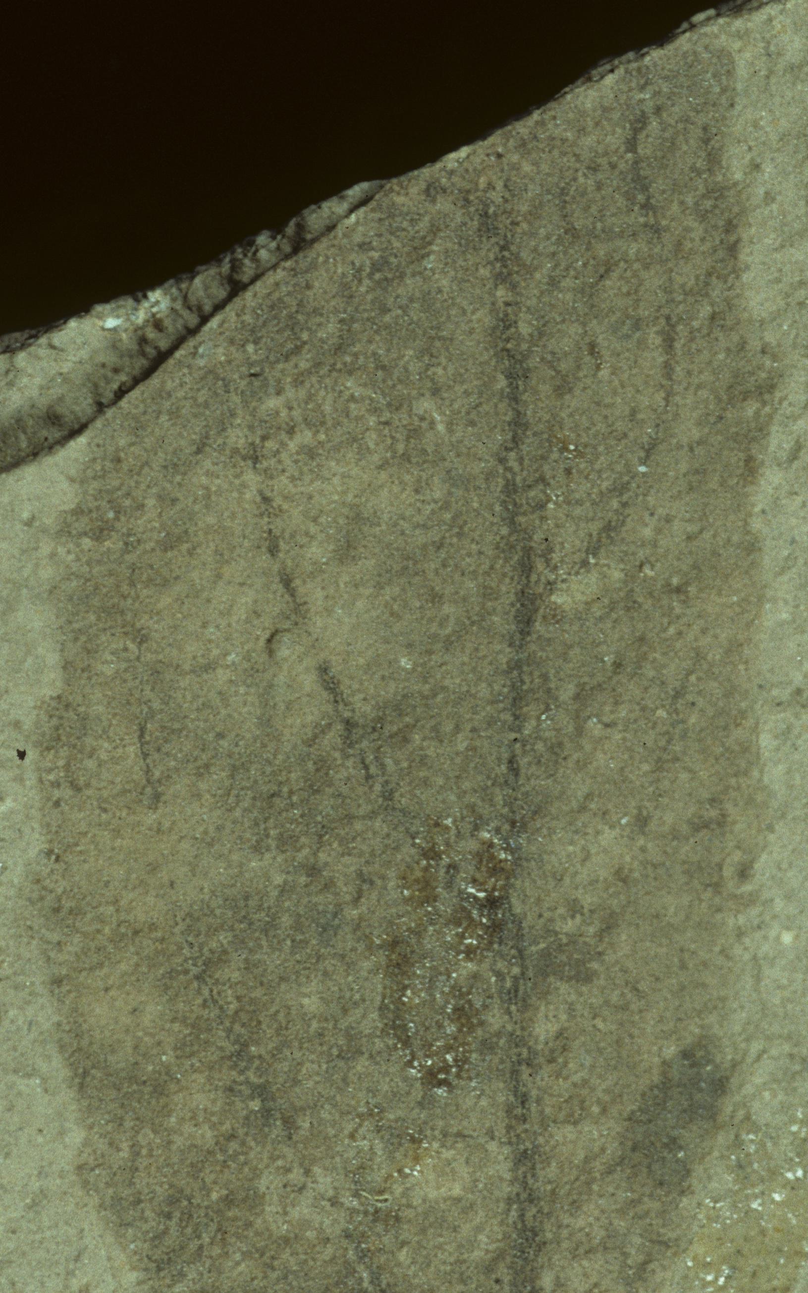 Sample 1 Image