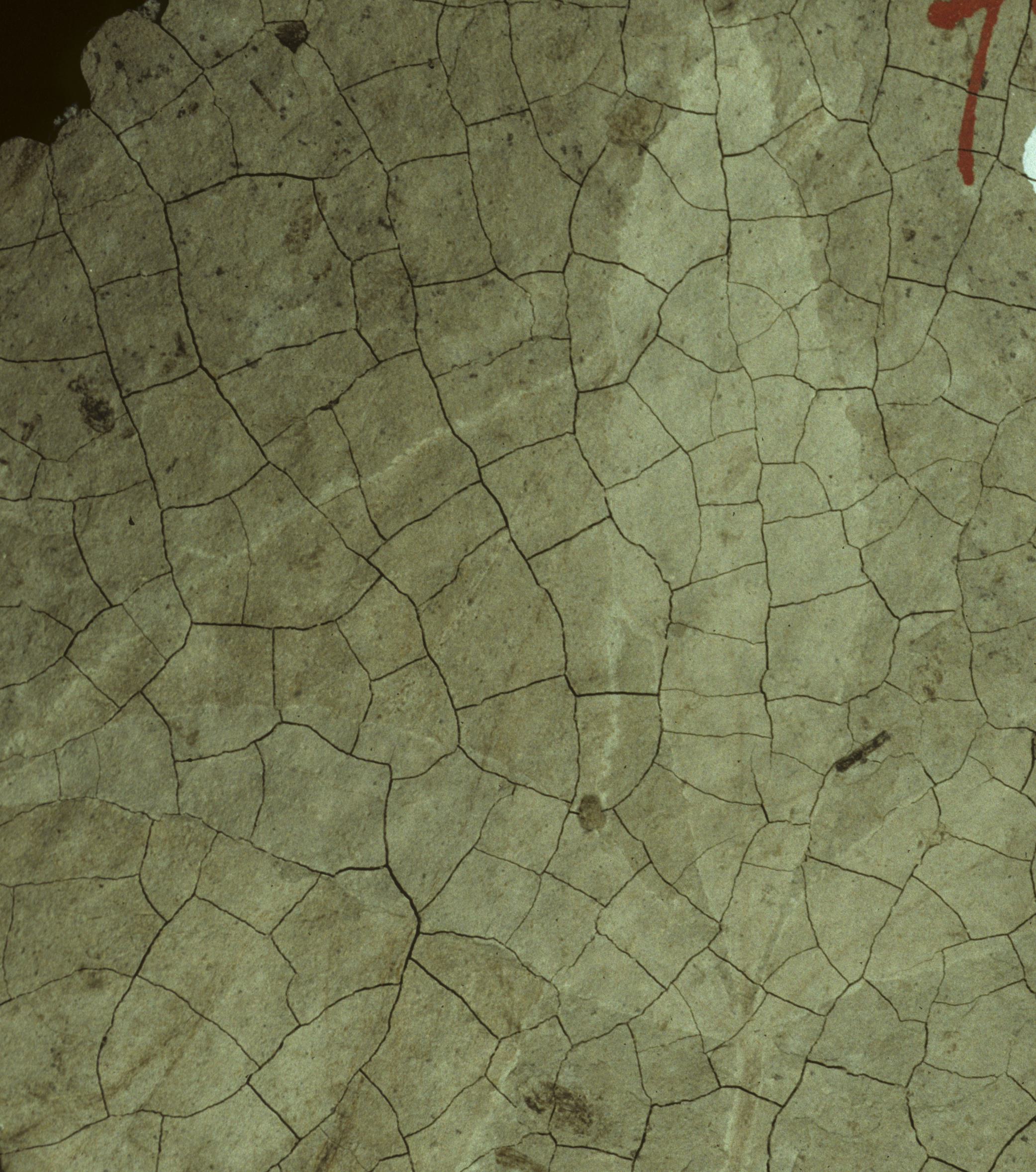 Sample 1 Image