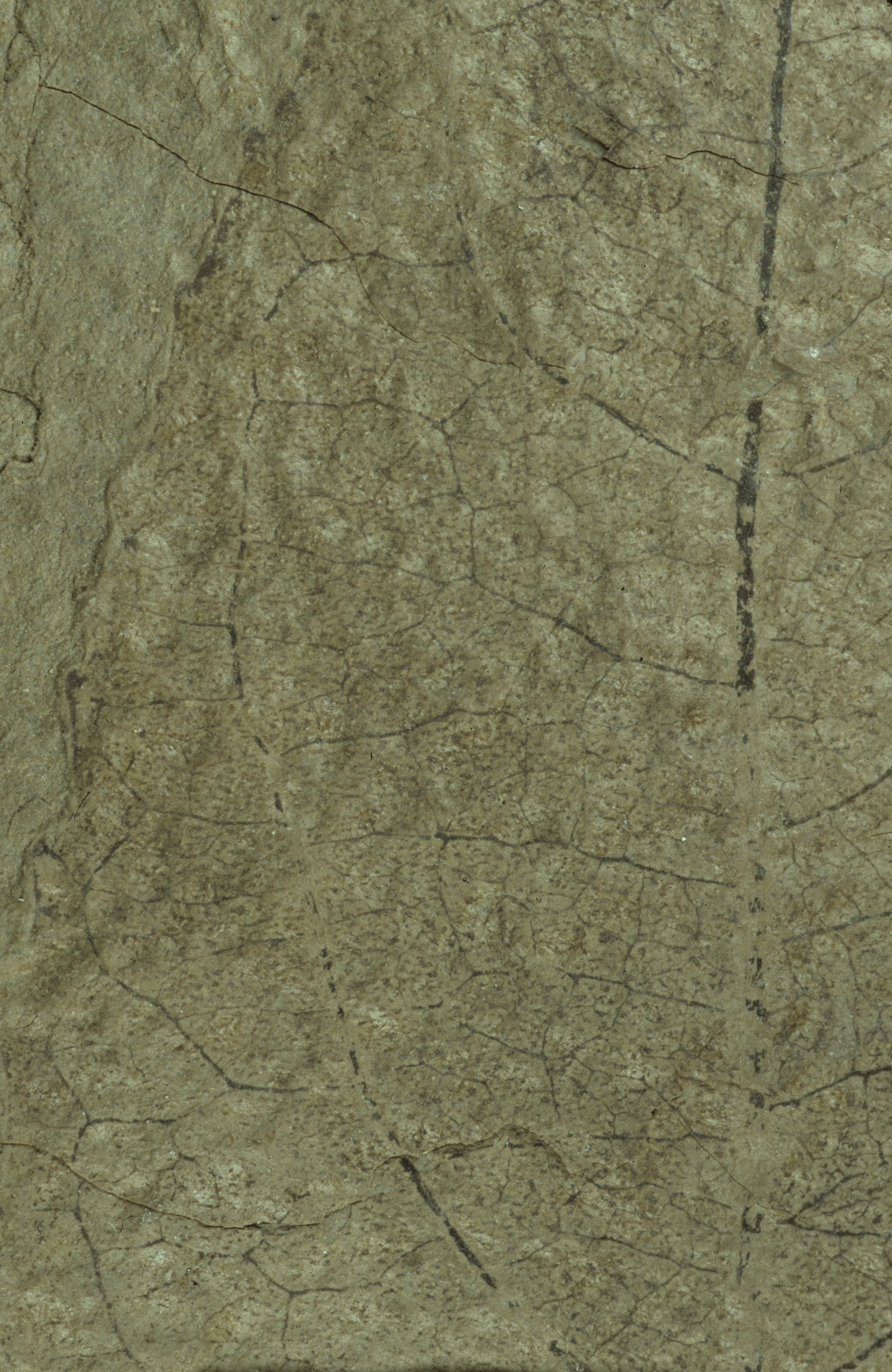 Sample 1 Image