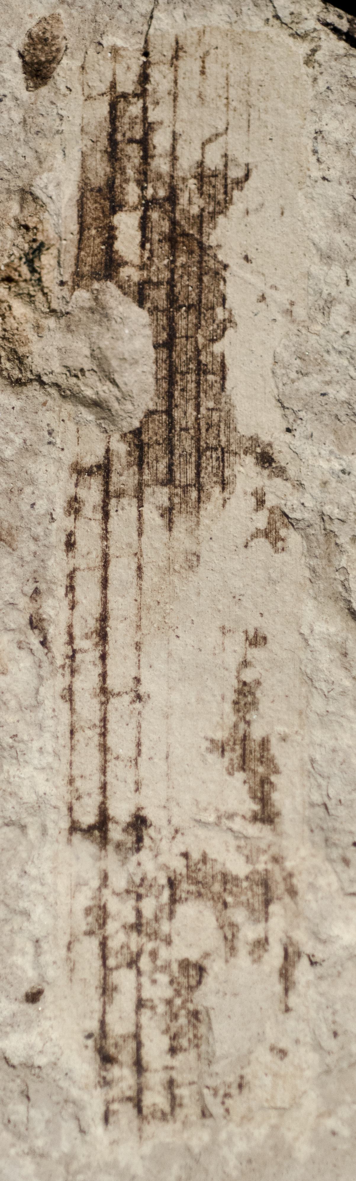 Sample 1 Image