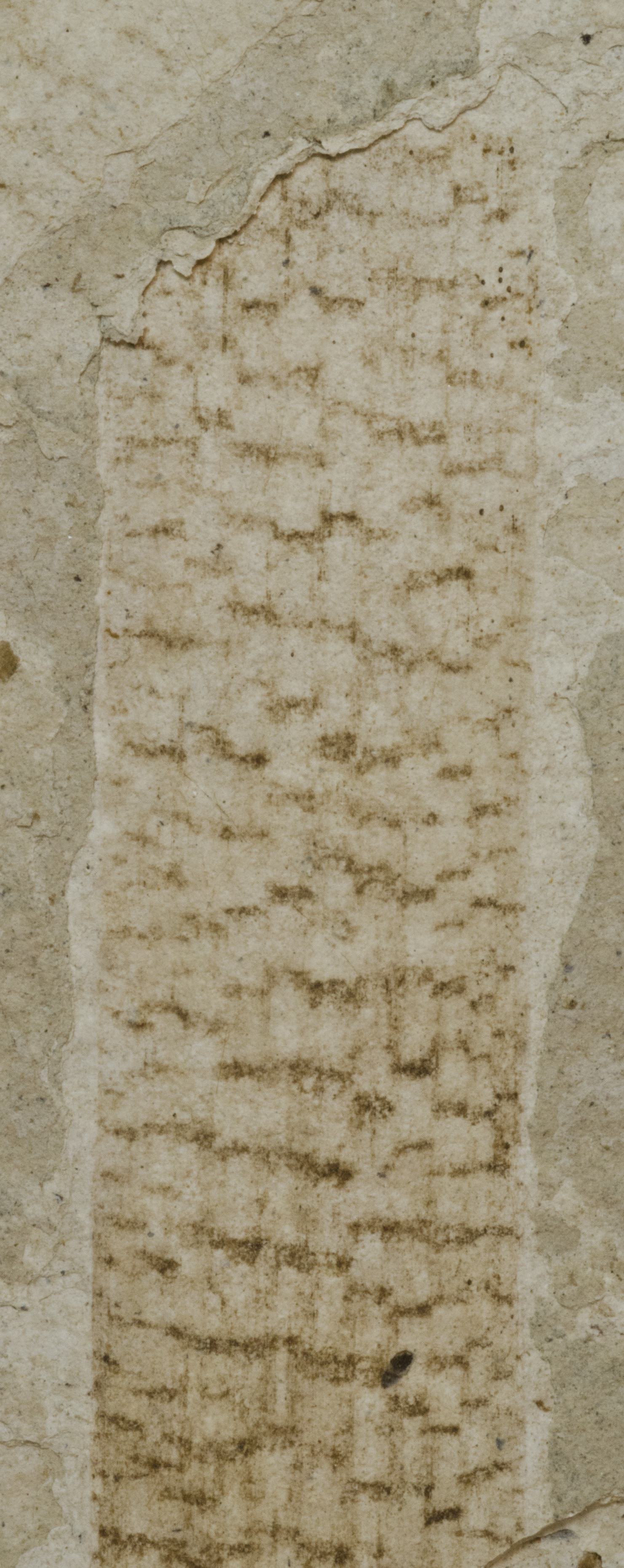 Sample 1 Image