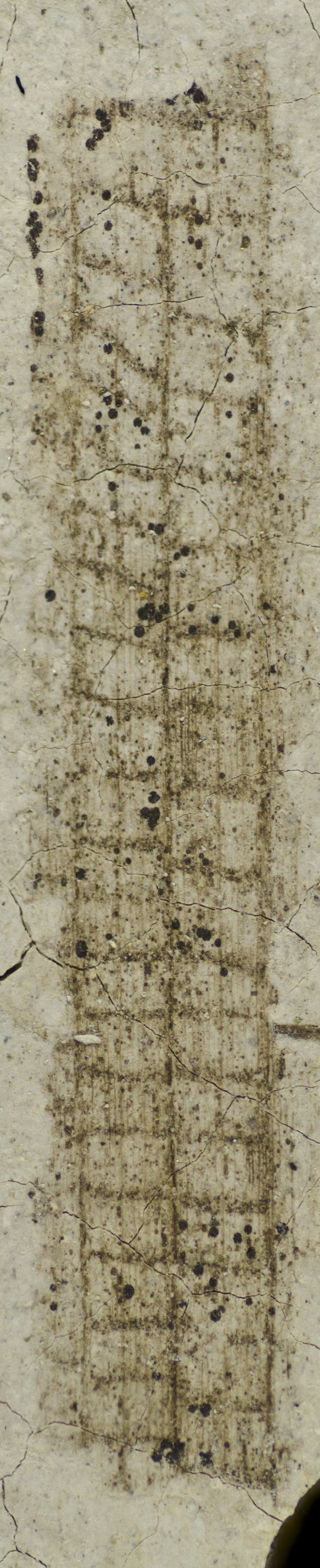 Sample 1 Image