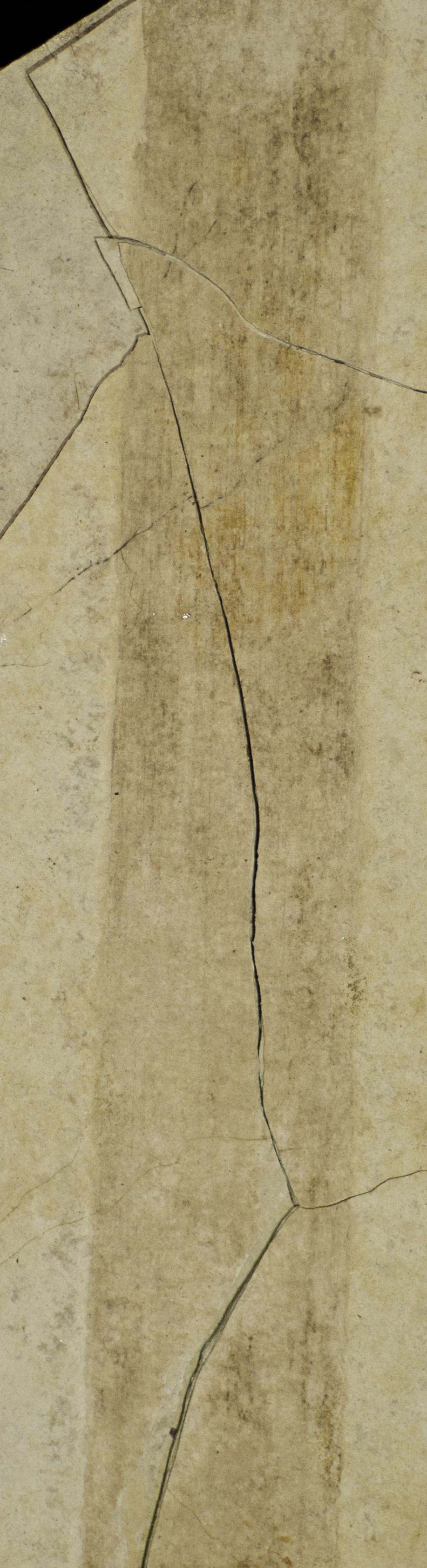 Sample 1 Image