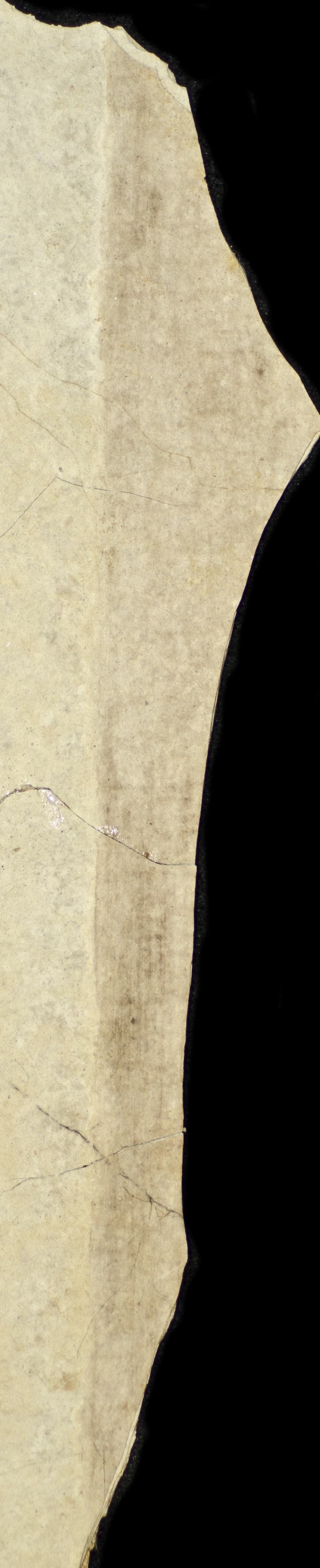 Sample 1 Image