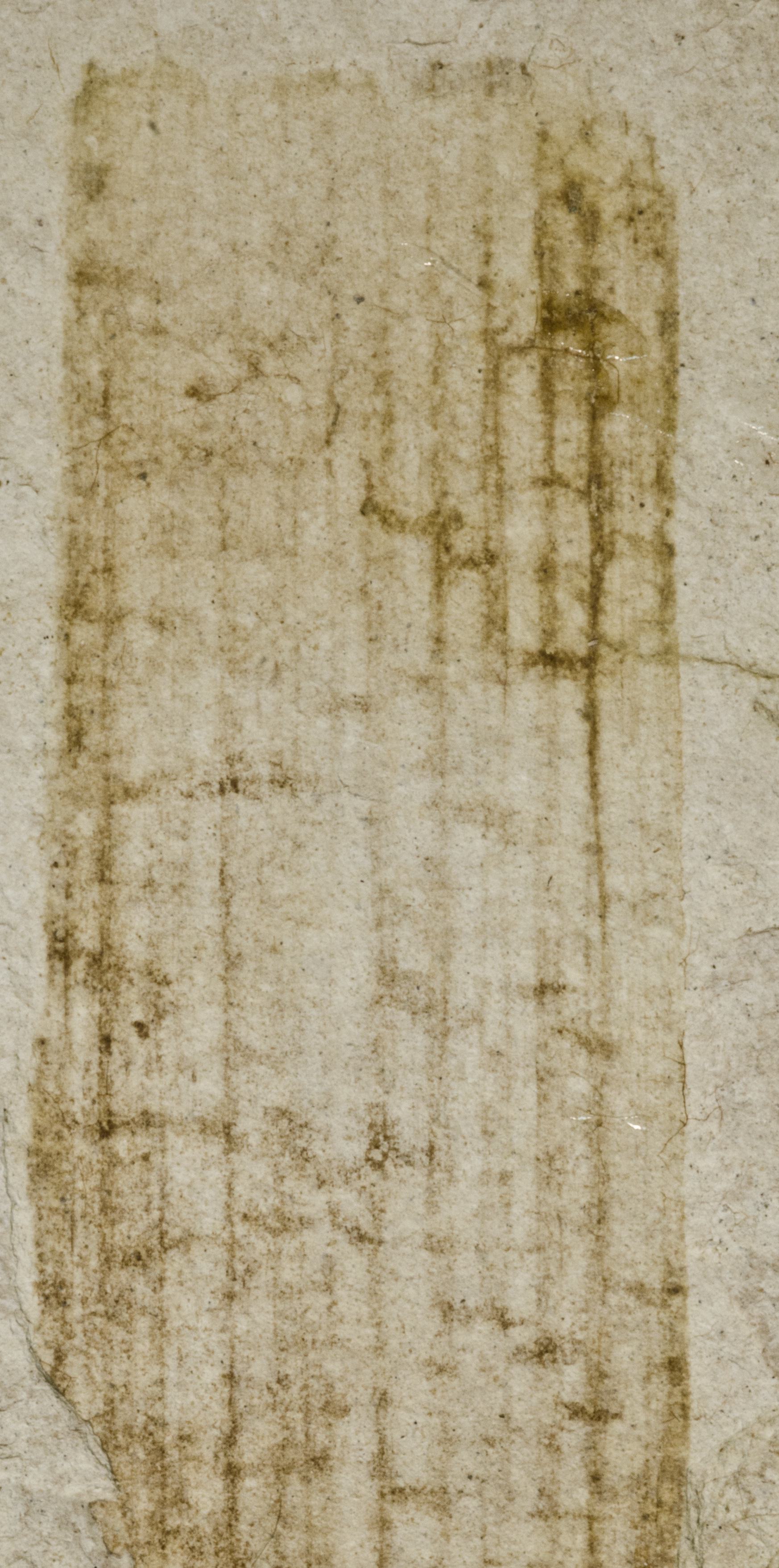 Sample 1 Image