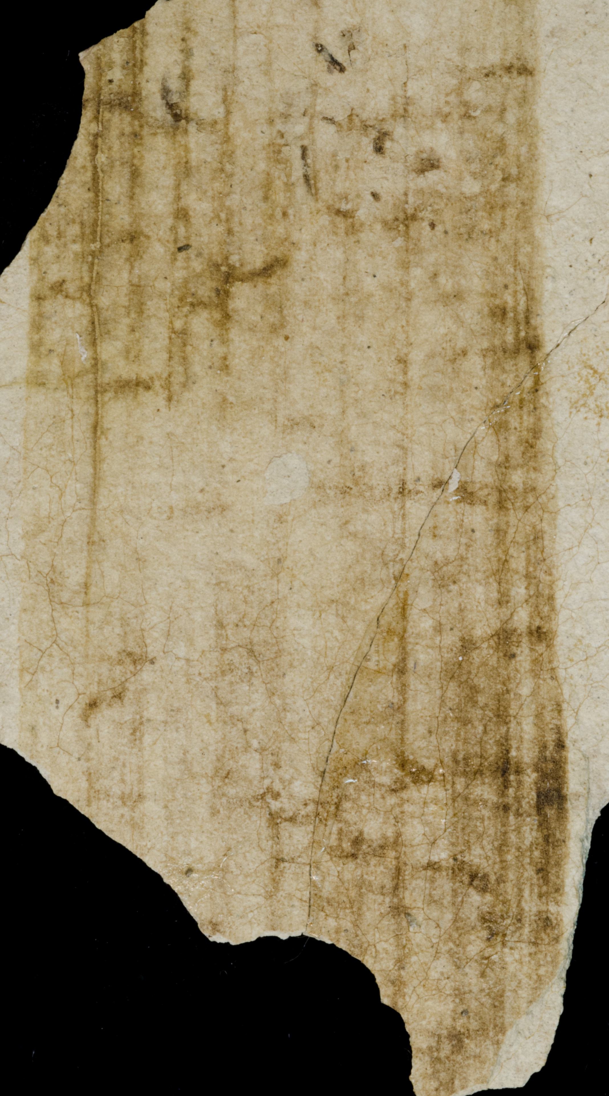 Sample 1 Image