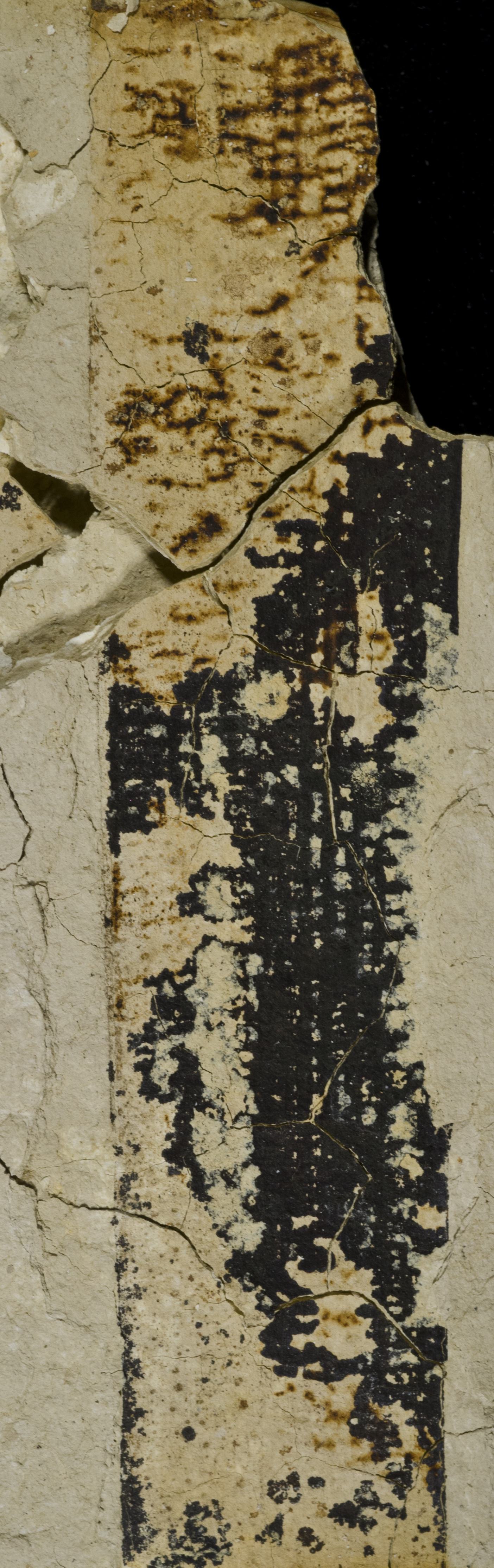Sample 1 Image