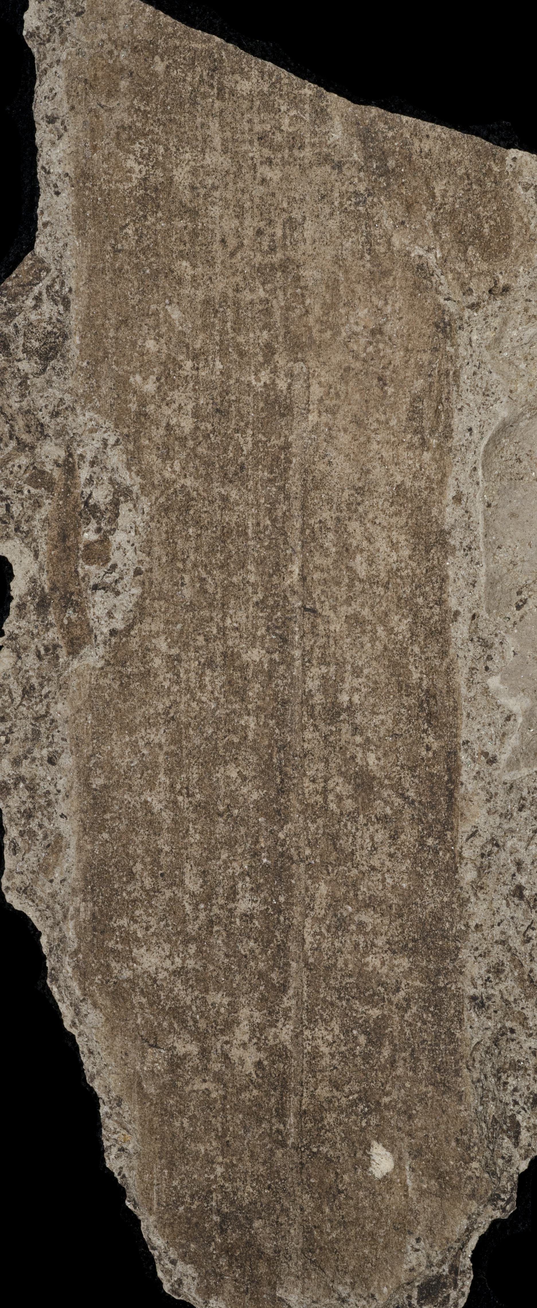 Sample 1 Image