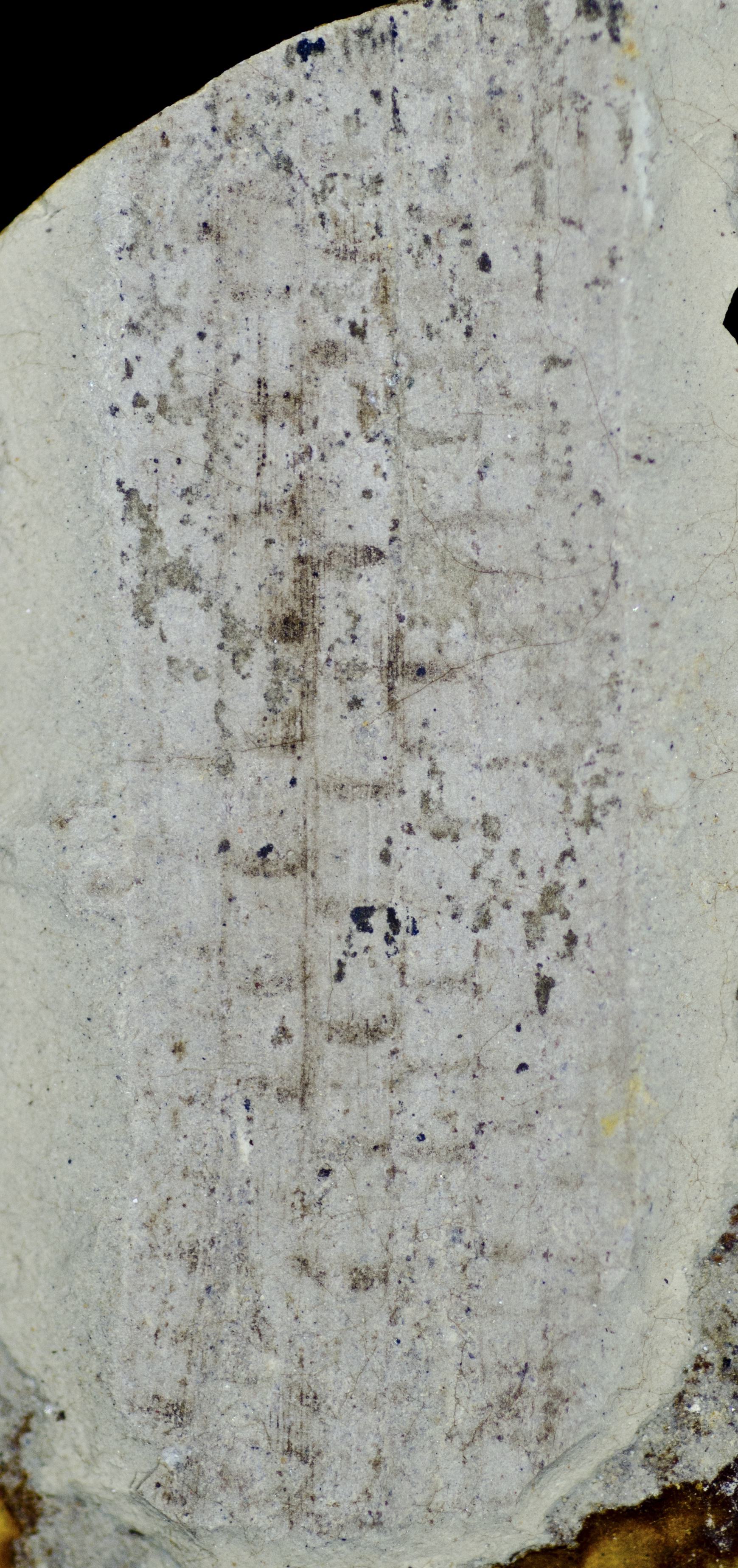 Sample 1 Image