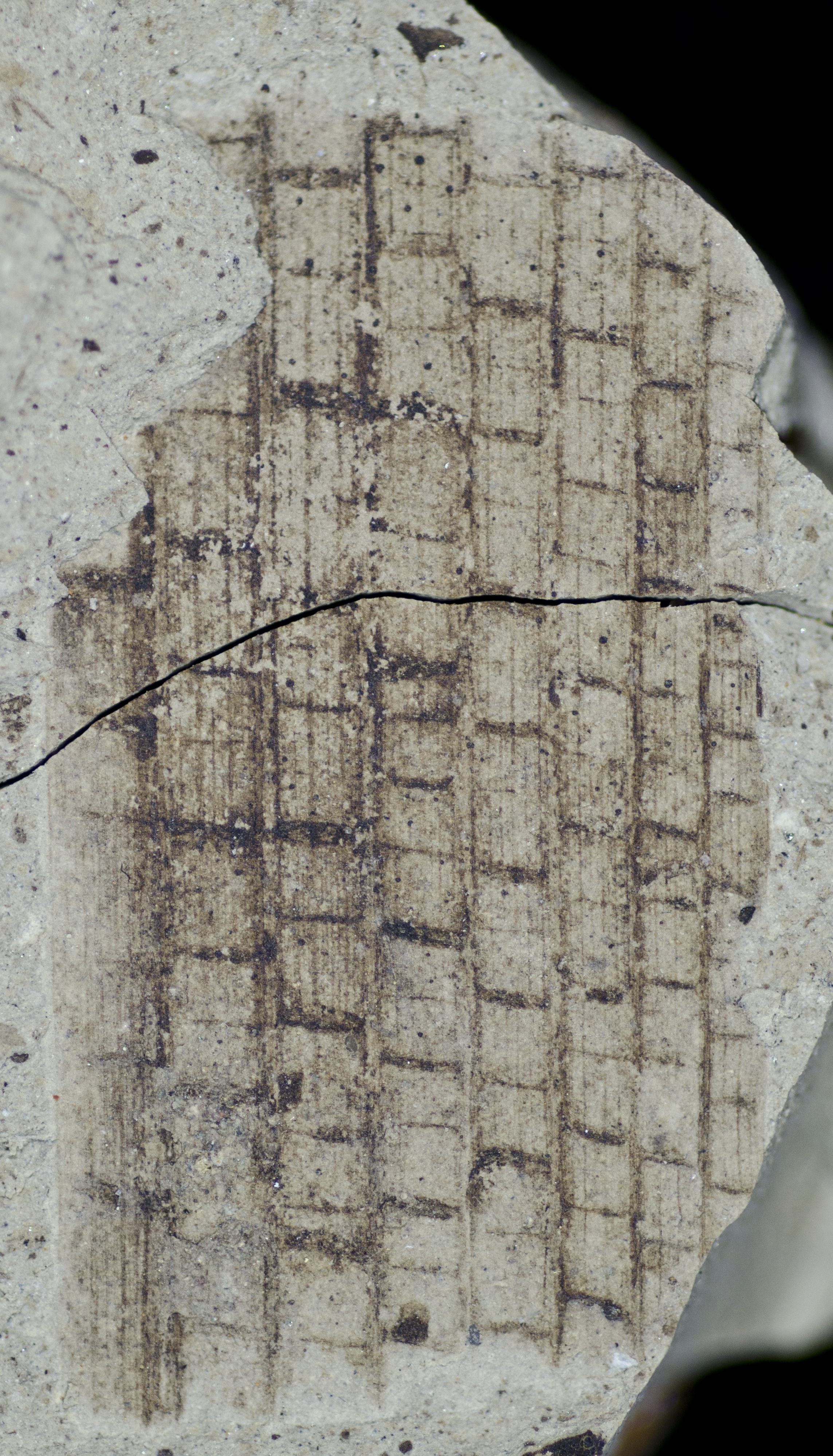 Sample 1 Image