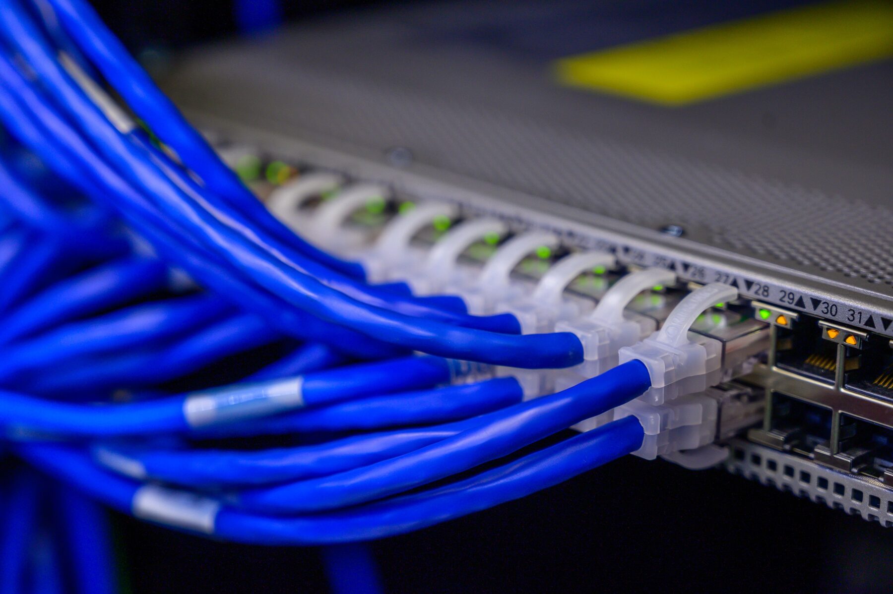 Blue ethernet cables plugged into the ports of a network switch, photographed close up