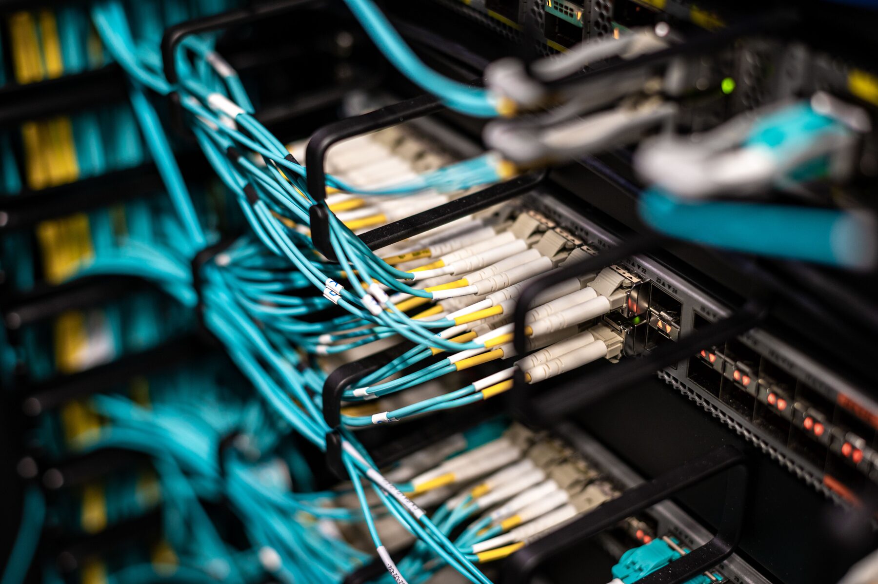 Dozens of network cables terminated into a rack-mounted patch panel