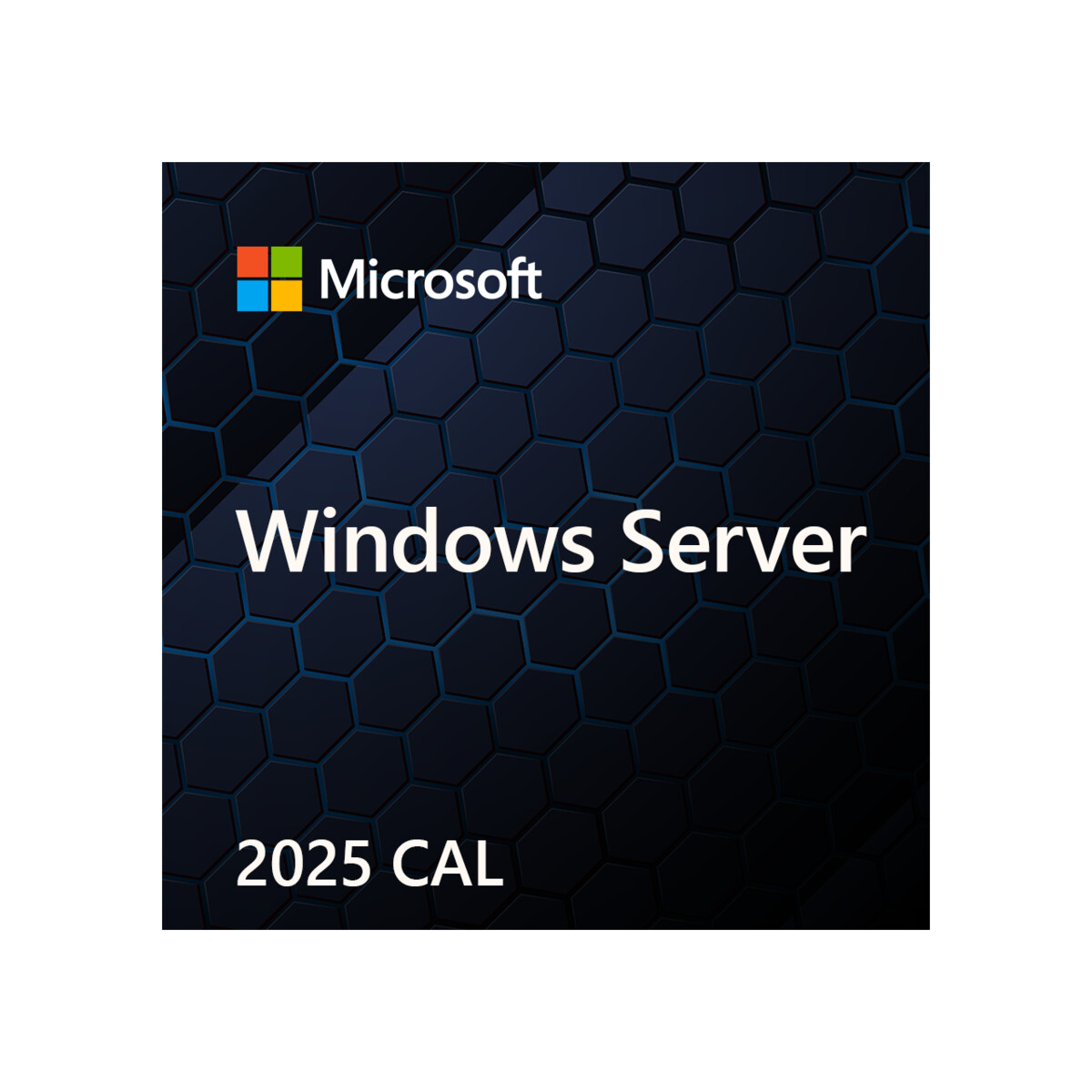Microsoft Windows Server 2025 5 User CAL - EP2-25279 - DSP-5CALU25