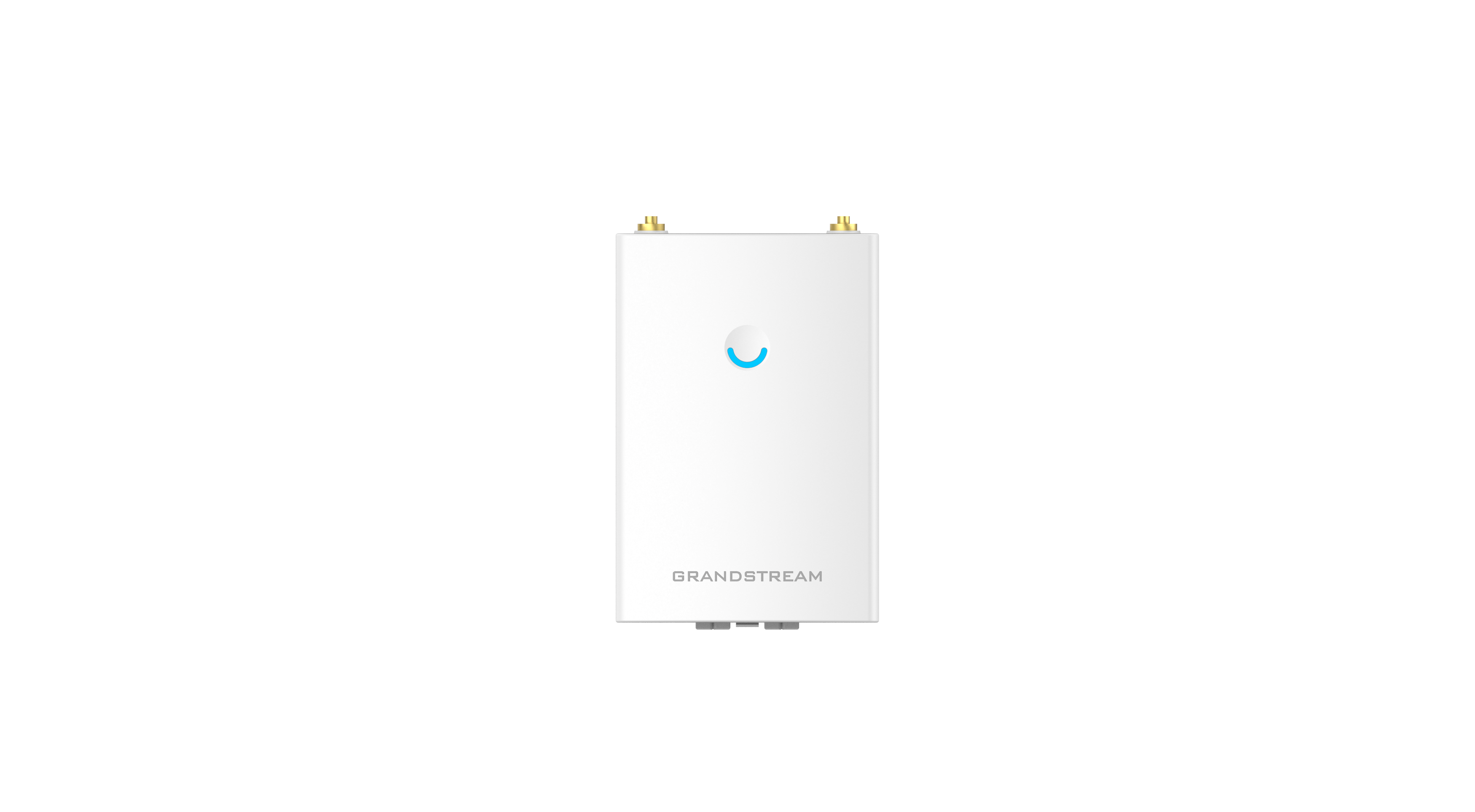 Grandstream Enterprise WiFi 5 Long Range Outdoor AP