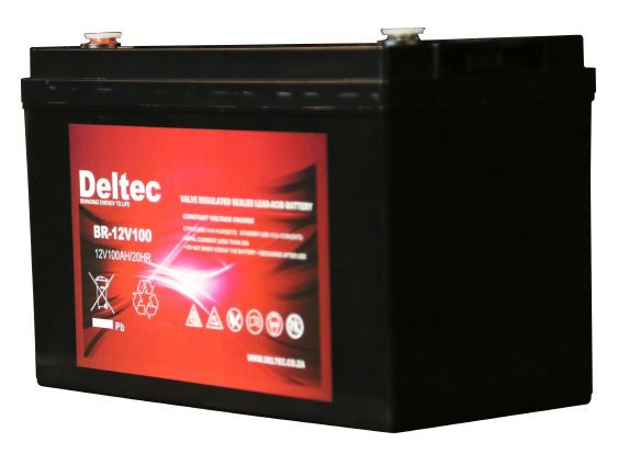 Deltec 12V 100Ah AGM Battery