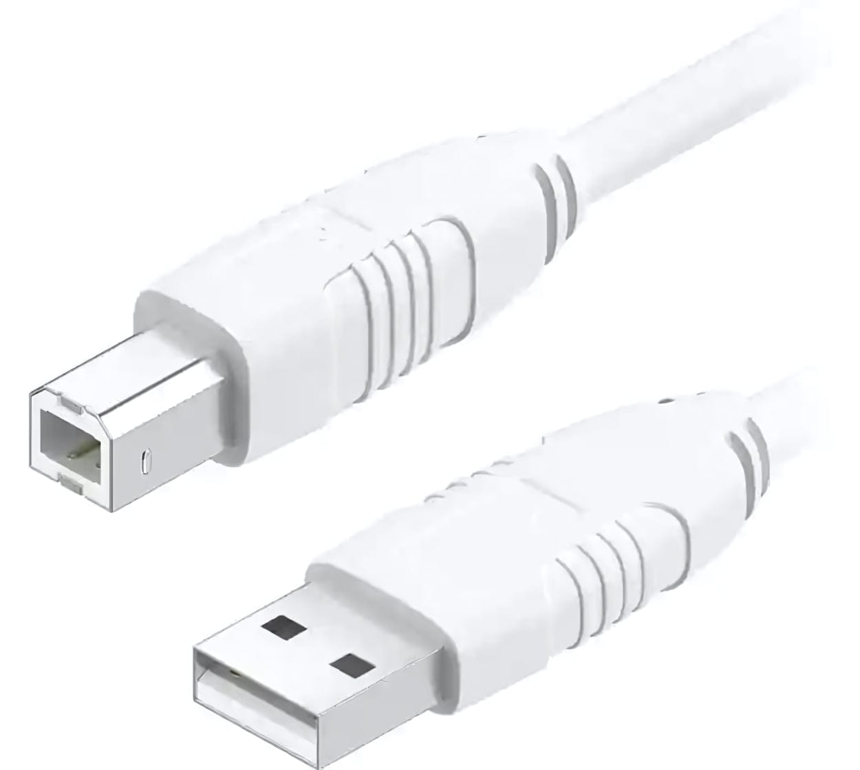 USB Printer Cable A to B Male