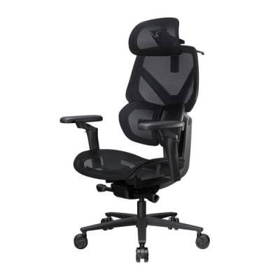 ThunderX3 Flex Pro Ergonomic Chair - Mesh Black